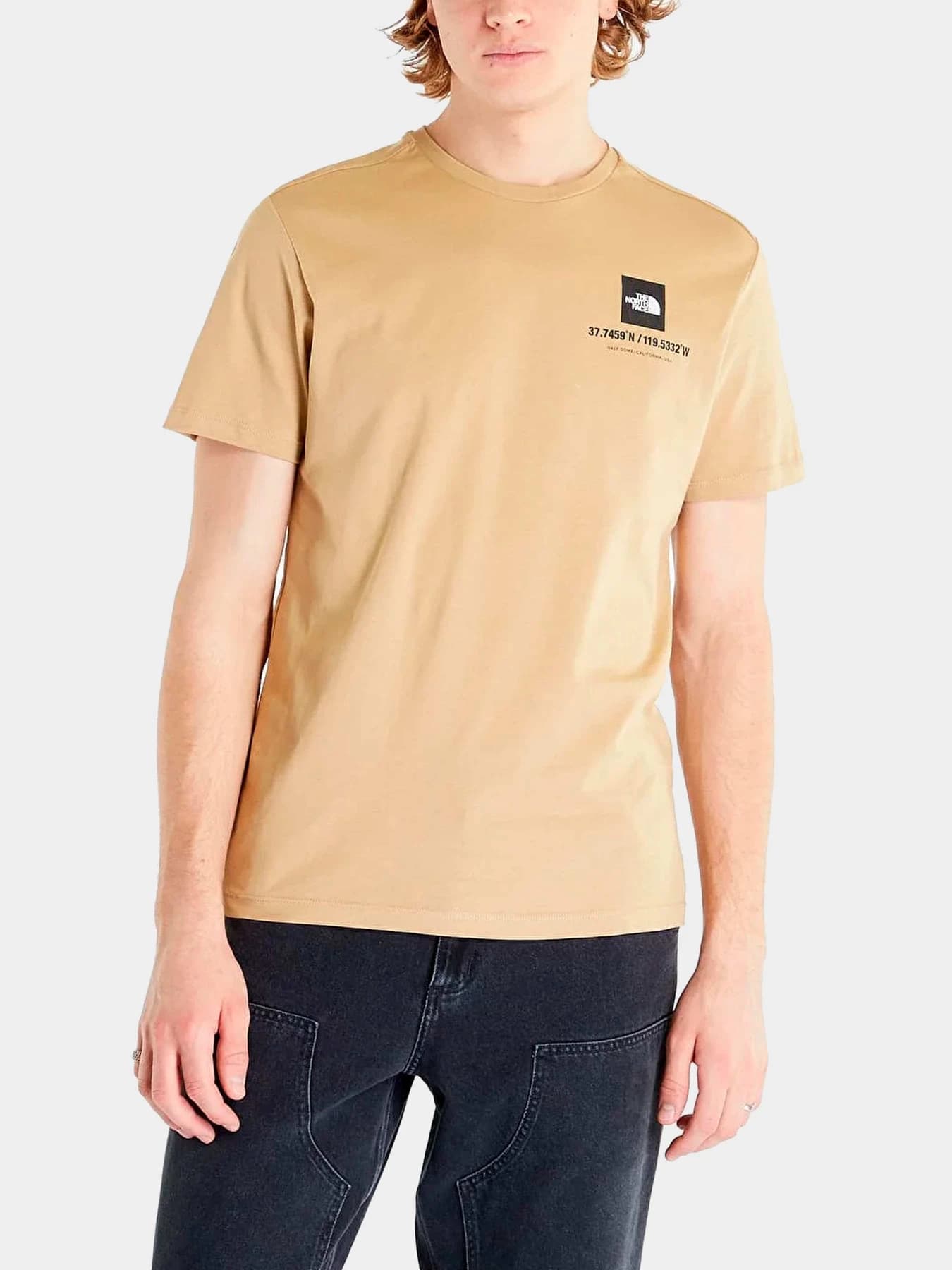 Футболки и поло The North Face модель NF0A826XLK51
