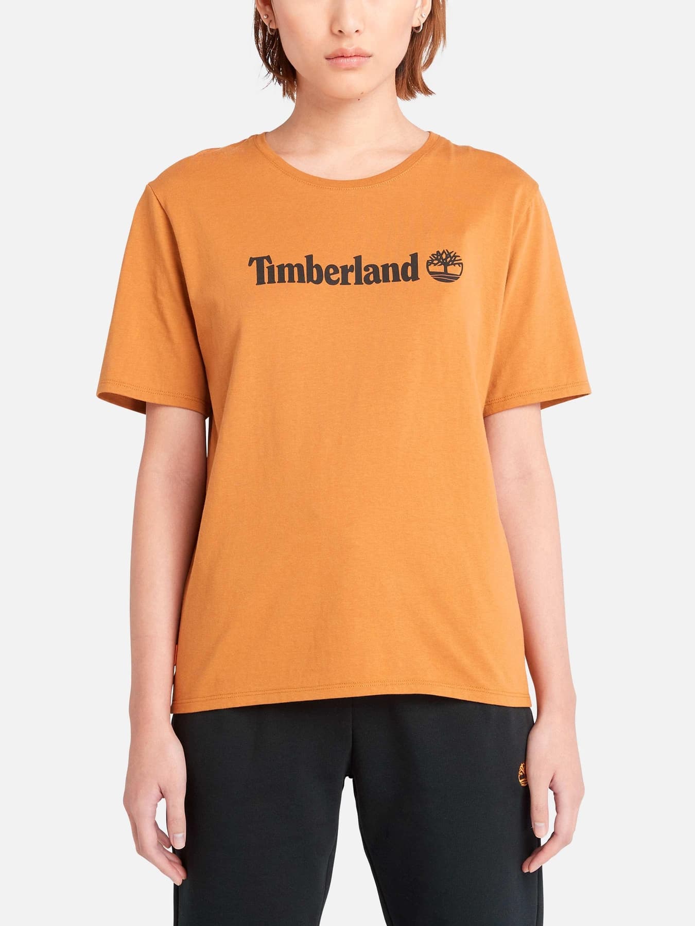 Футболки и поло Timberland модель TB0A6AZPP47