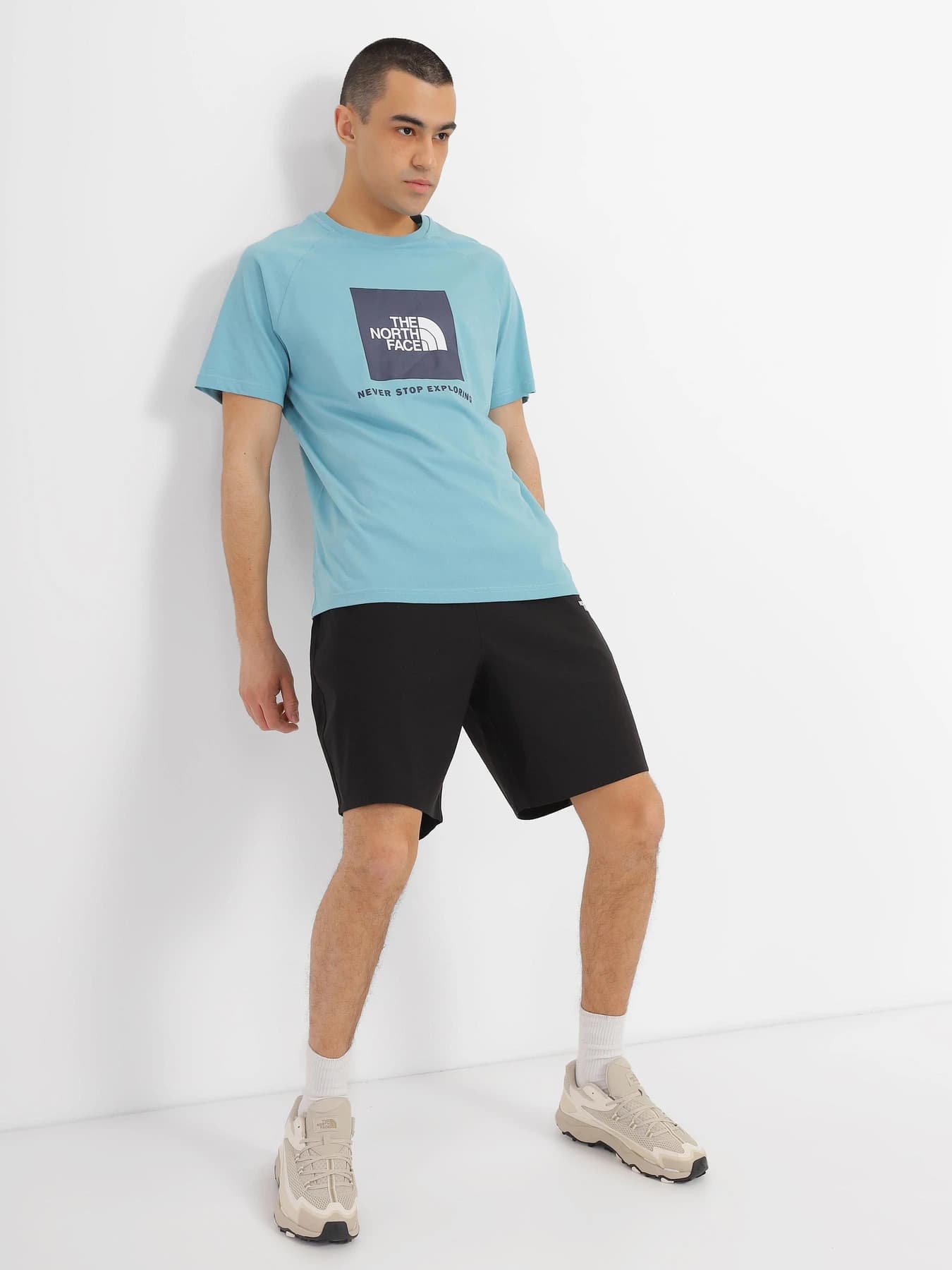 Футболки и поло The North Face модель NF0A3BQOIWO1