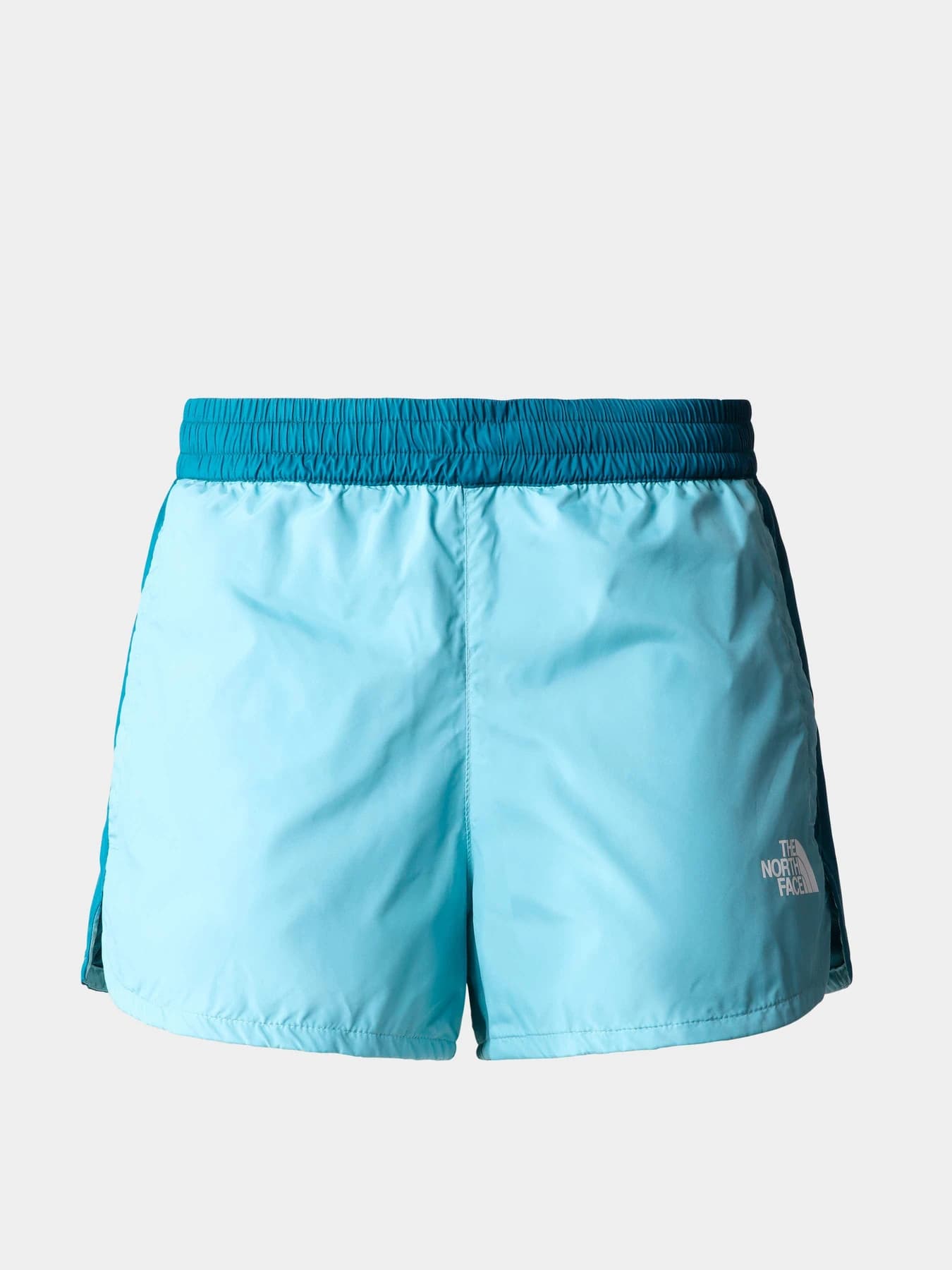 Шорты The North Face модель NF0A5J6GSK81