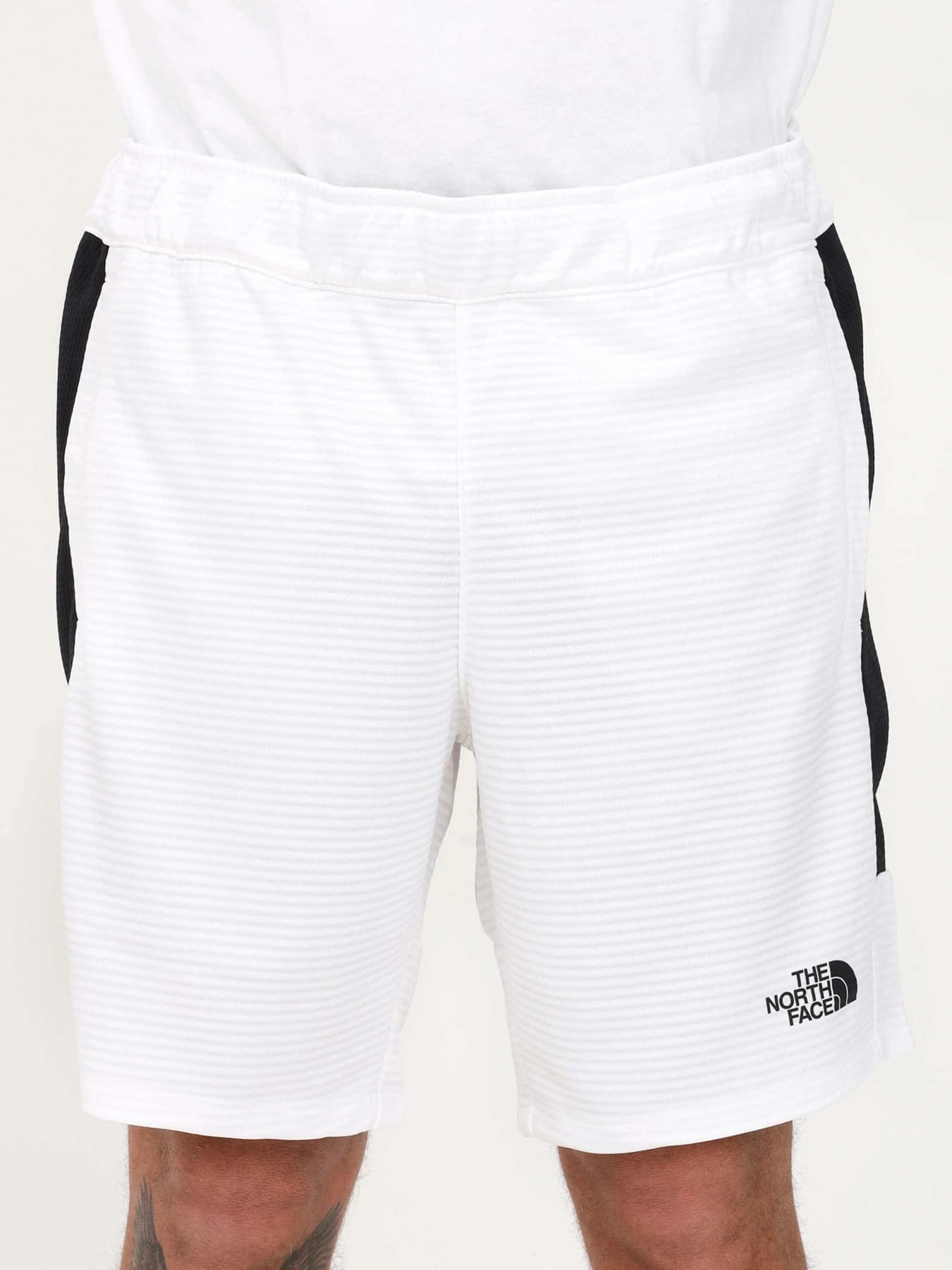 Шорты The North Face модель NF0A823OLA91