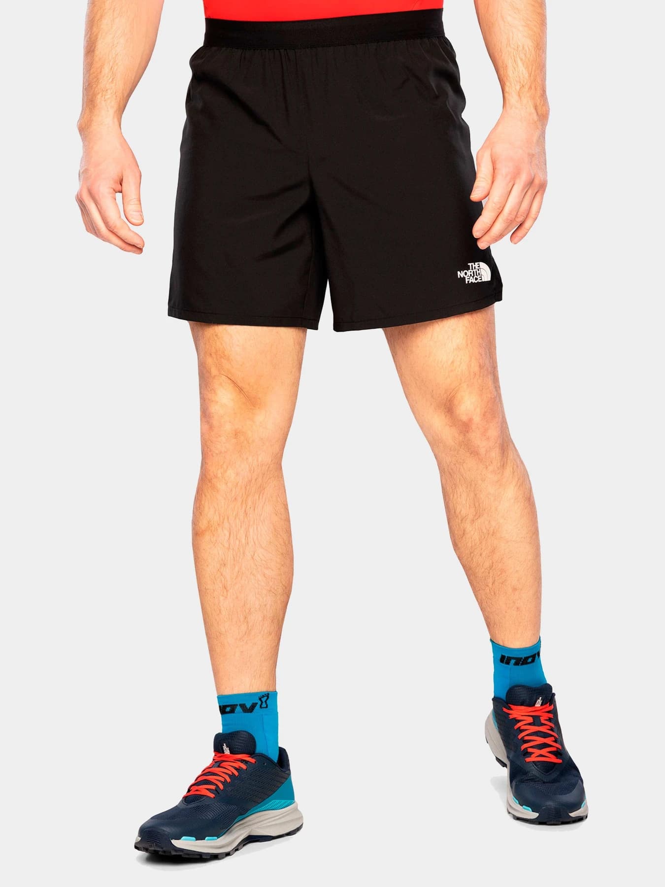 Шорты The North Face модель NF0A8316JK31