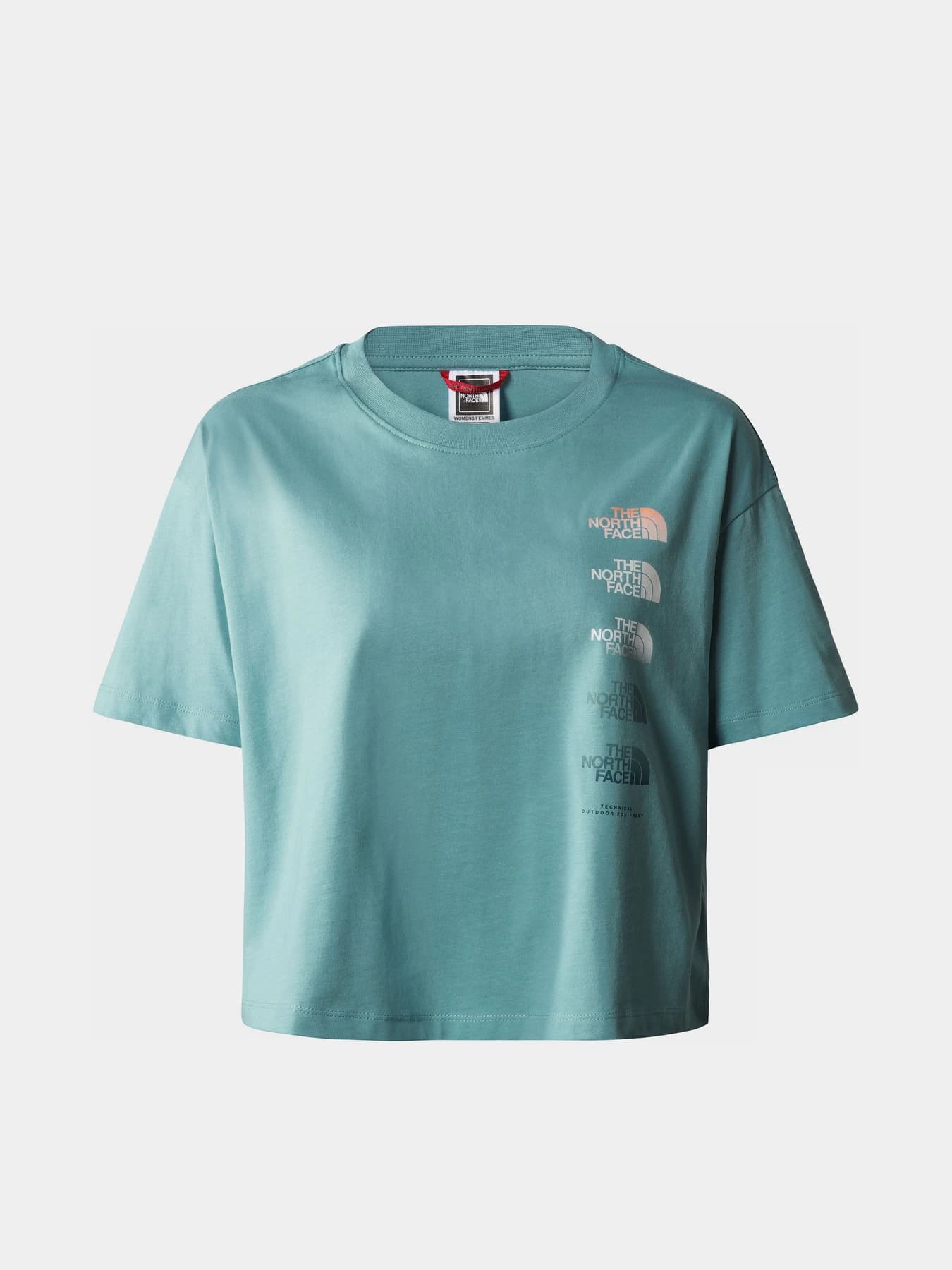 Футболки и поло The North Face модель NF0A83FALV21