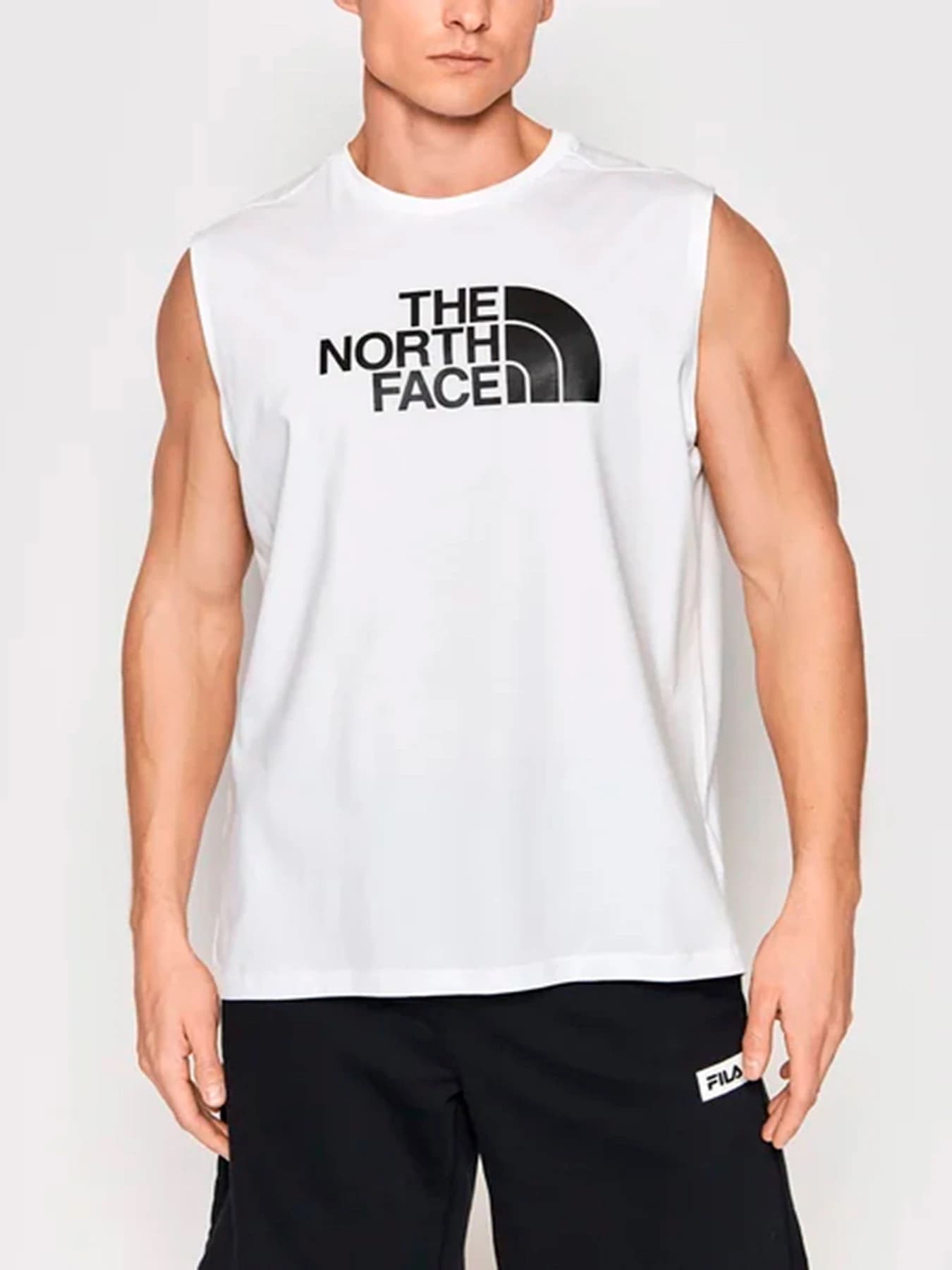Футболки и поло The North Face модель NF0A5IGYFN41
