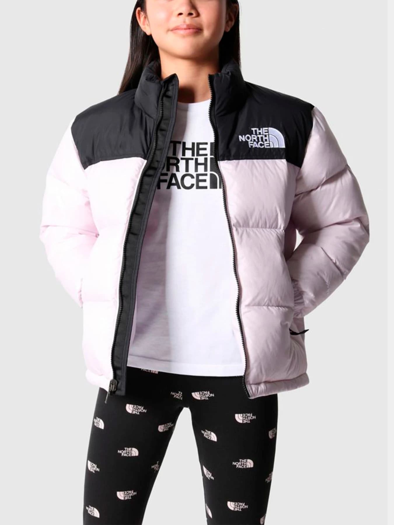 Куртки и дубленки The North Face модель NF0A7WQO6S11