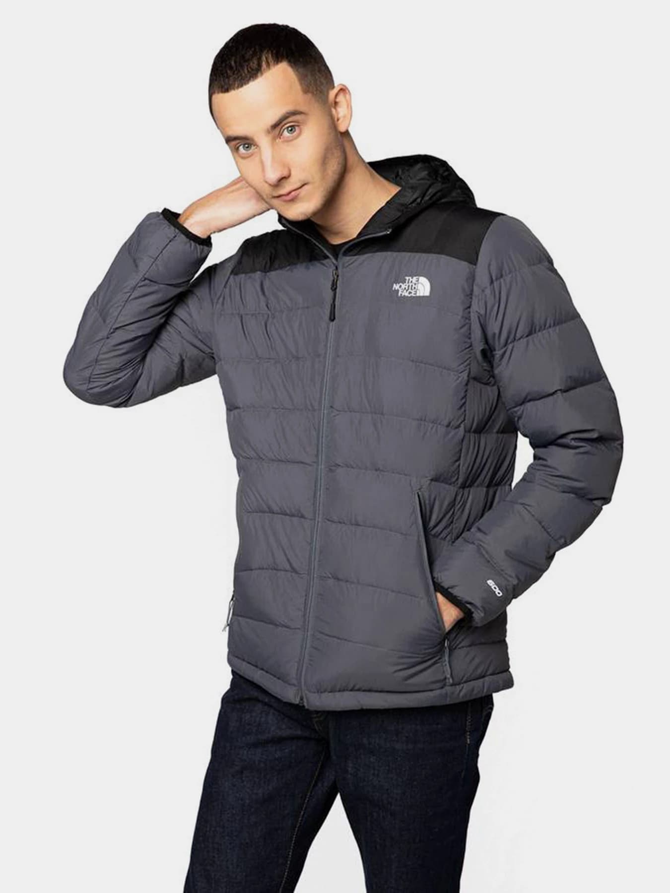 Куртки и дубленки The North Face модель NF00CYG91741