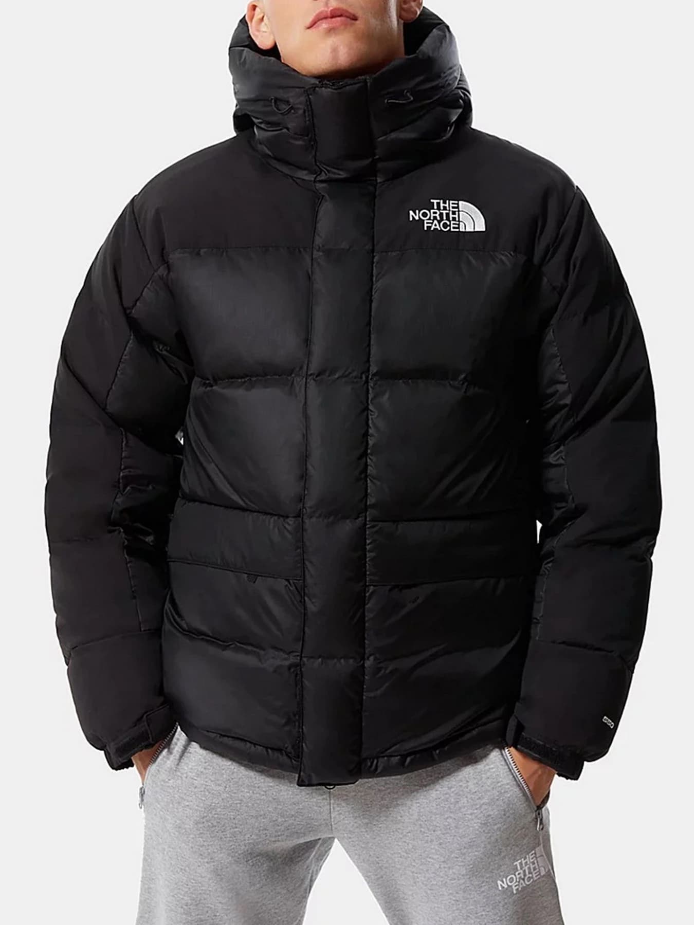 Куртки и дубленки The North Face модель NF0A4QYXJK31