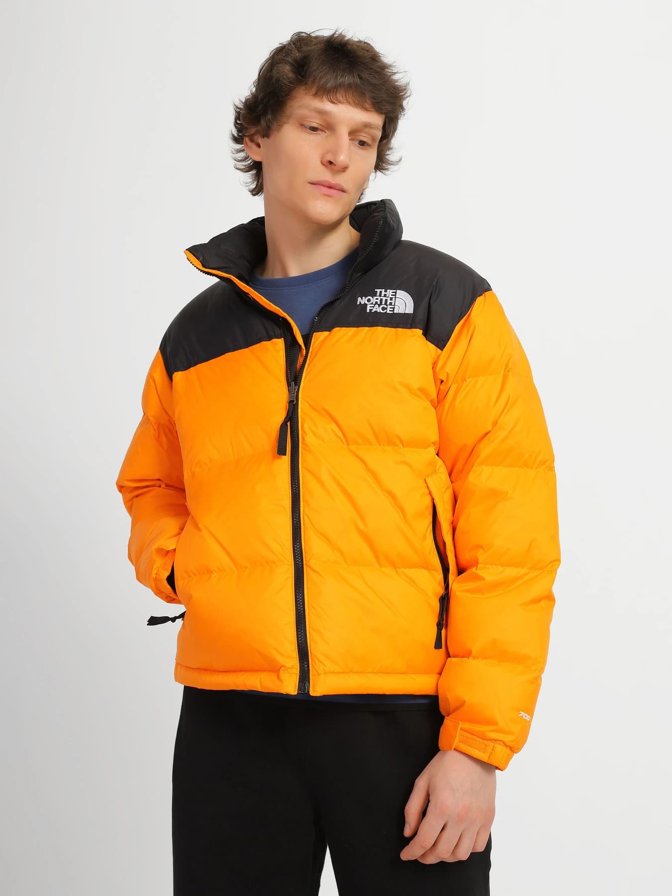 Куртки и дубленки The North Face модель NF0A3C8D78M1