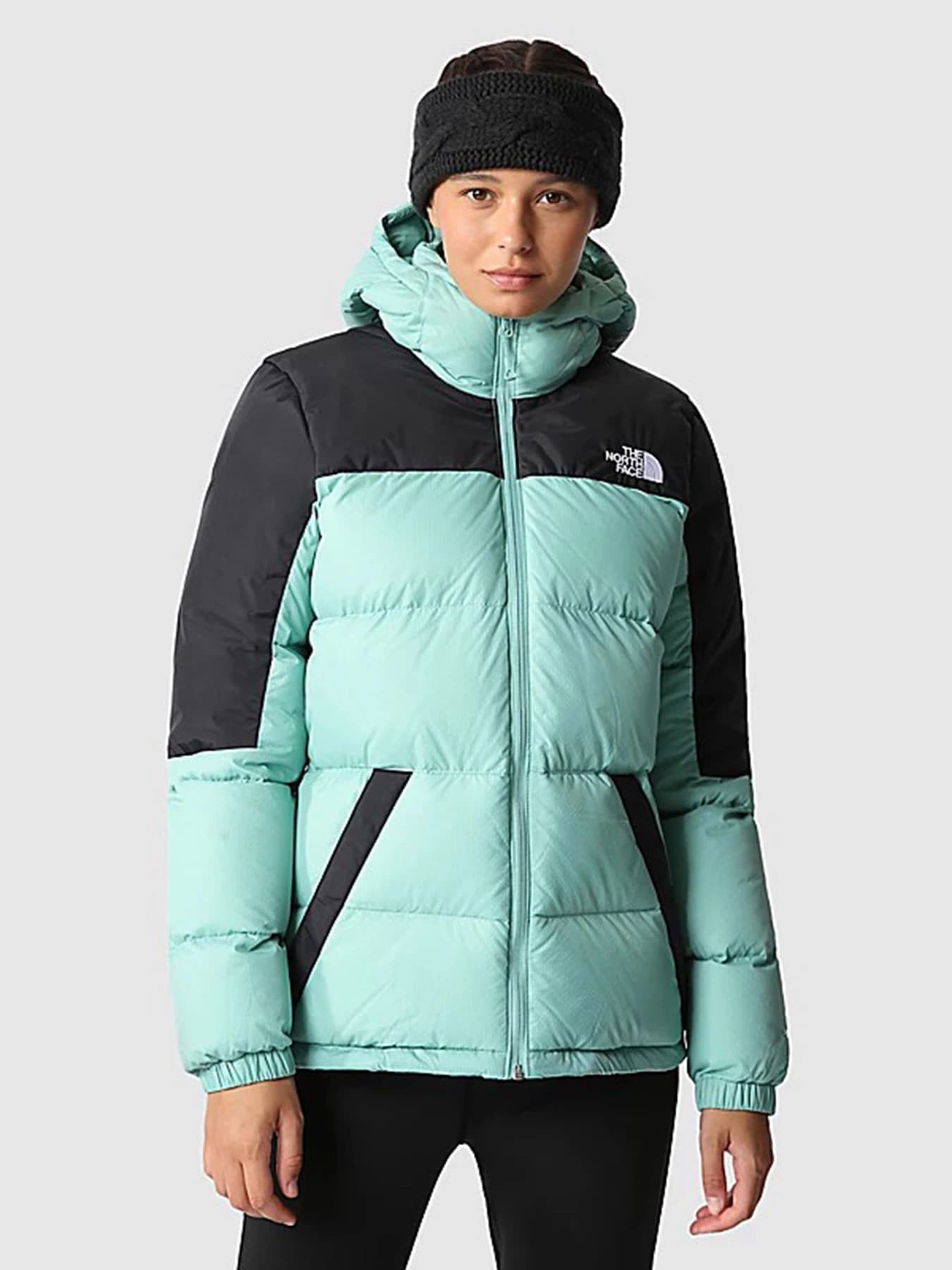 Куртки и дубленки The North Face модель NF0A55H48641