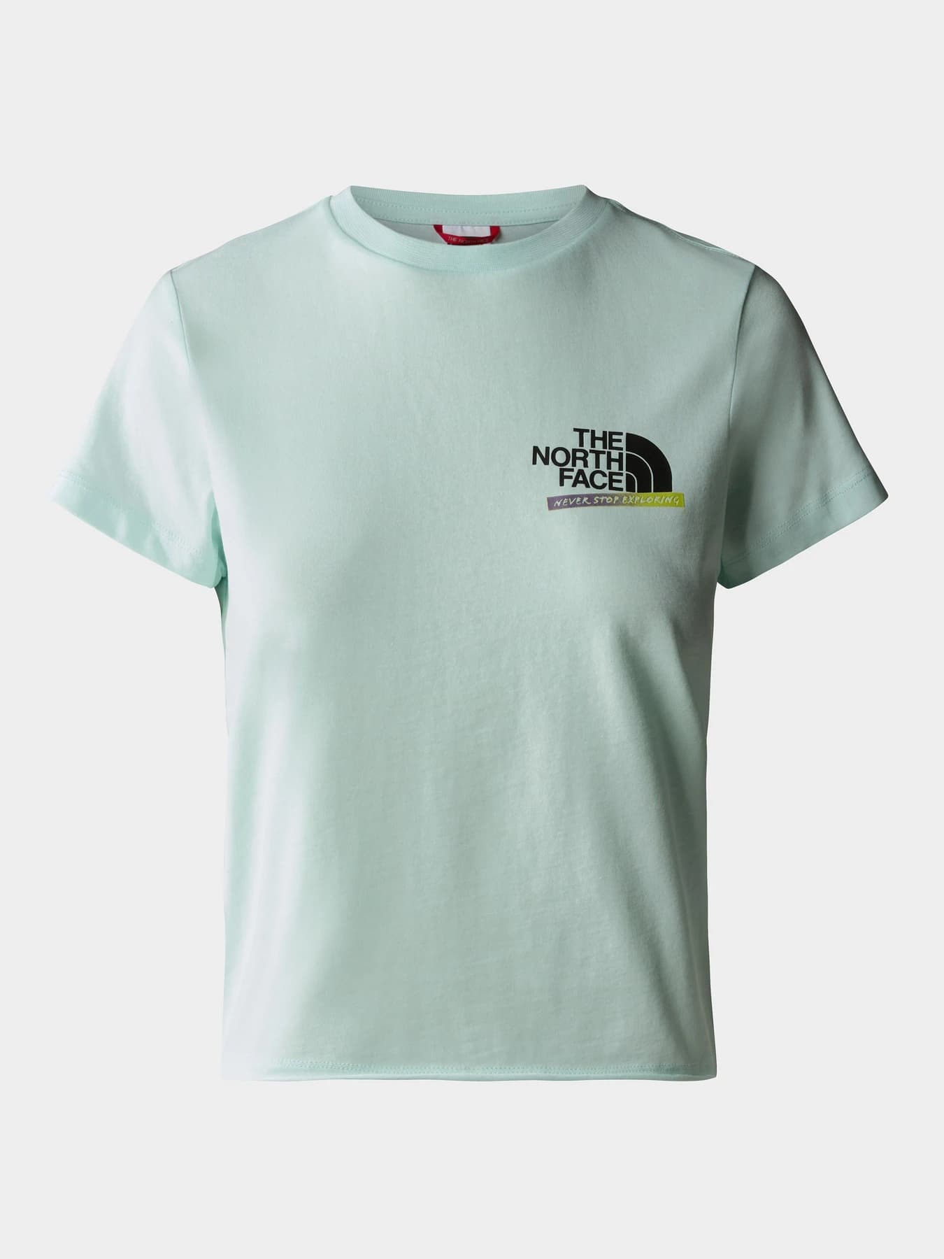 Футболки и поло The North Face модель NF0A83FJLV51