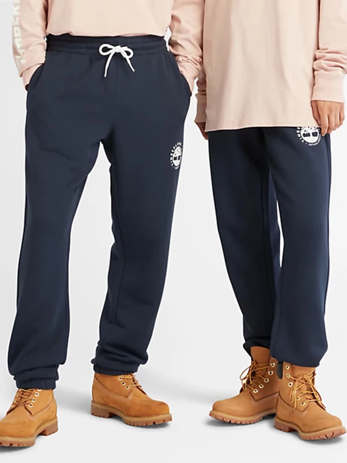 Брюки Timberland модель TB0A66GW433