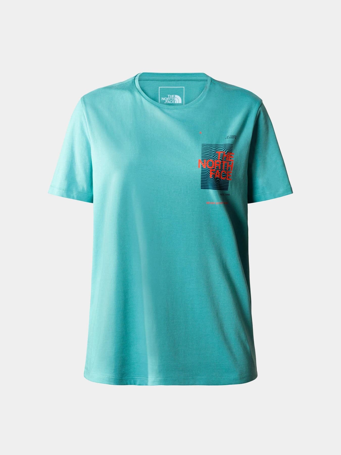 Футболки и поло The North Face модель NF0A55B2LV21