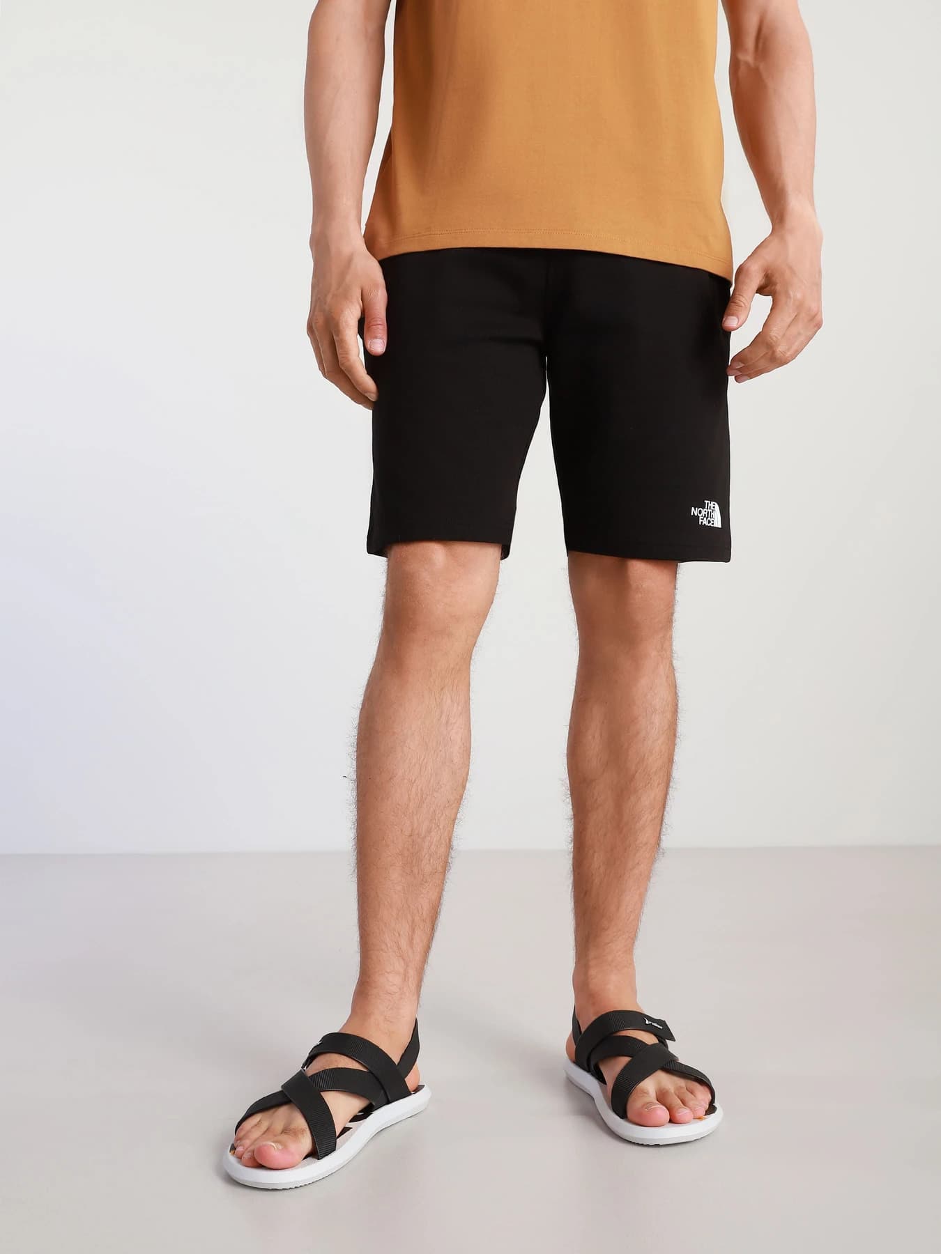 Шорты The North Face модель NF0A3S4EJK31