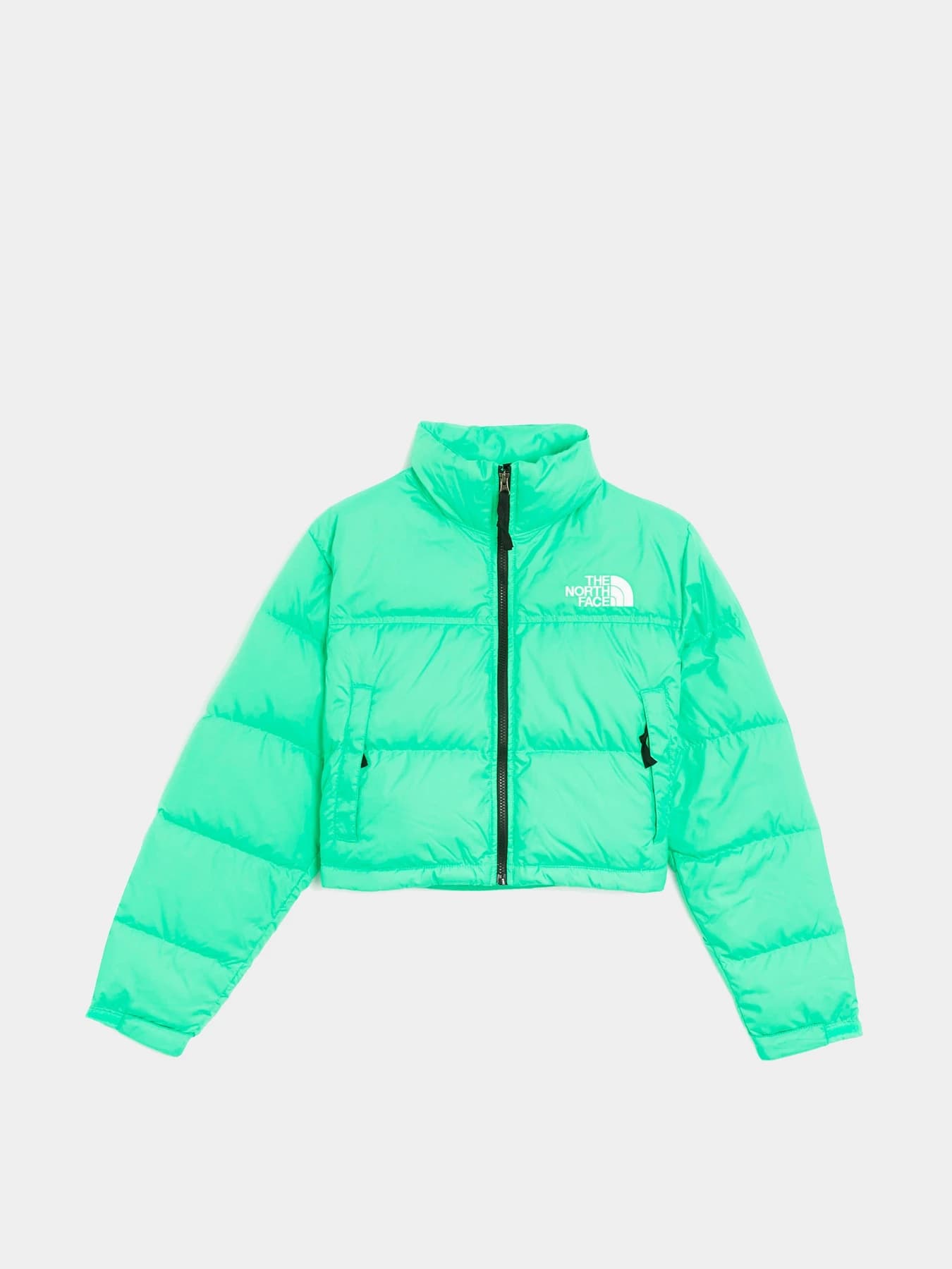 Куртки и дубленки The North Face модель NF0A5GGE8YK1