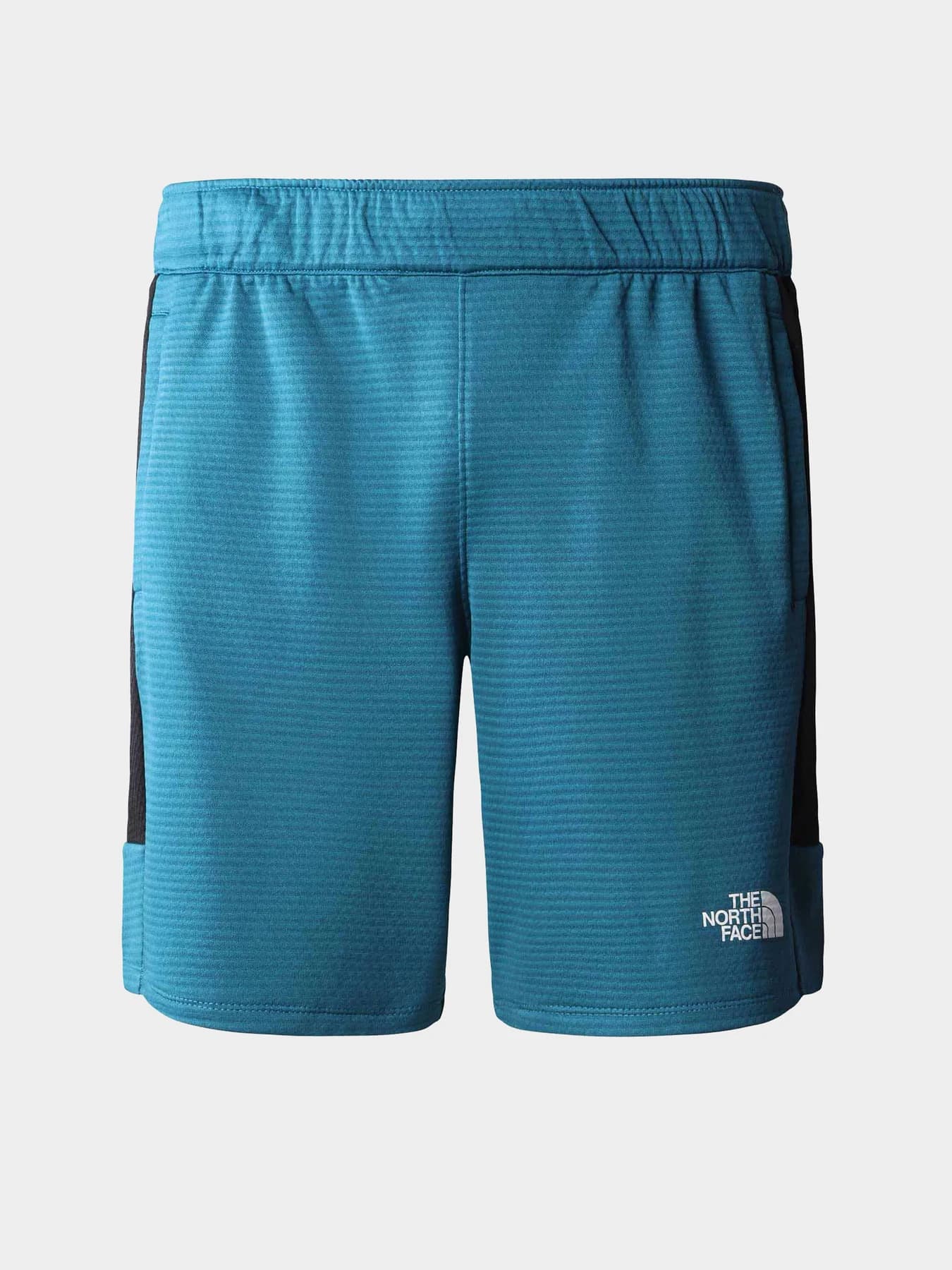 Шорты The North Face модель NF0A823OES31