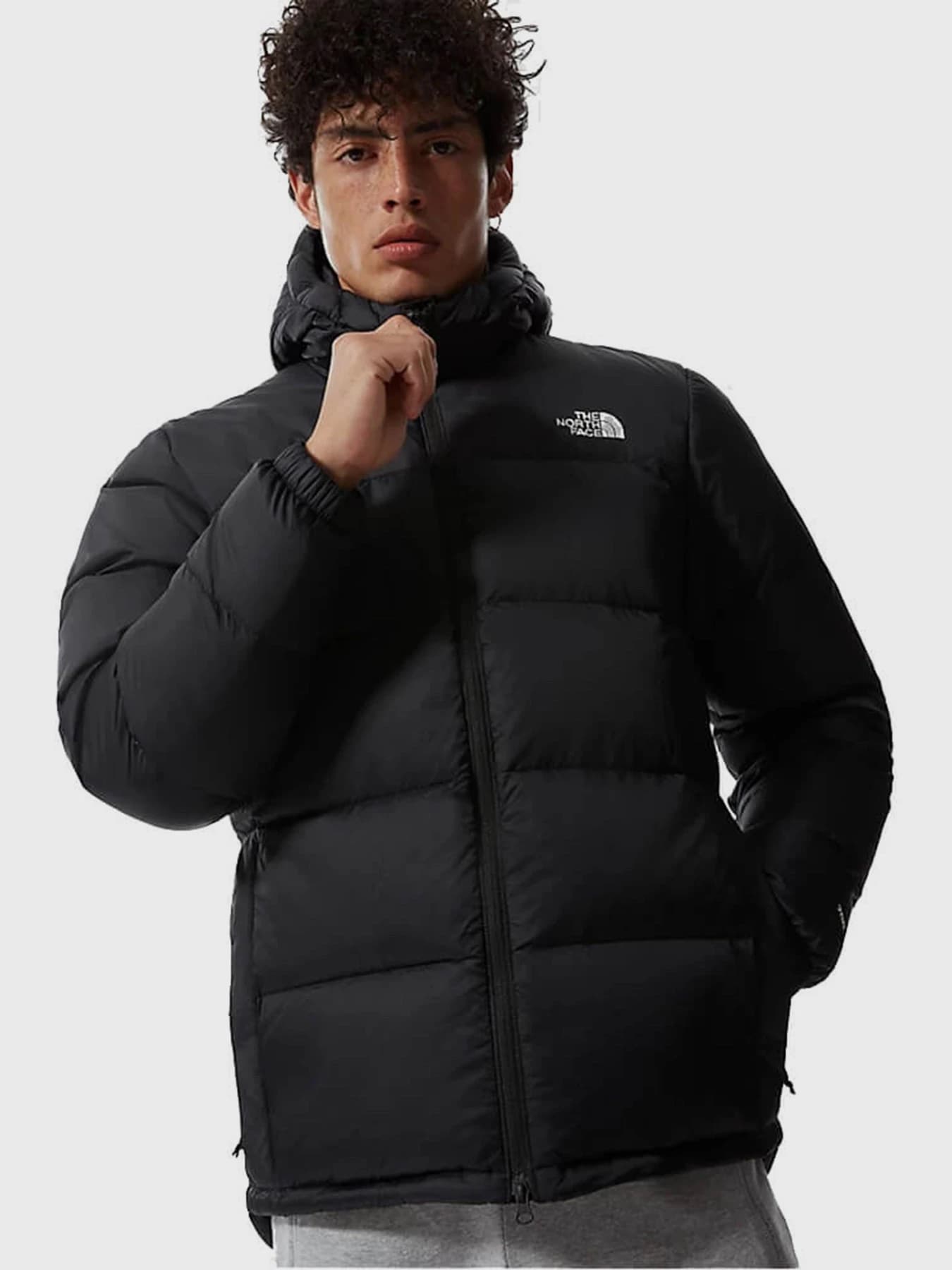 Куртки и дубленки The North Face модель NF0A4M9LKX71