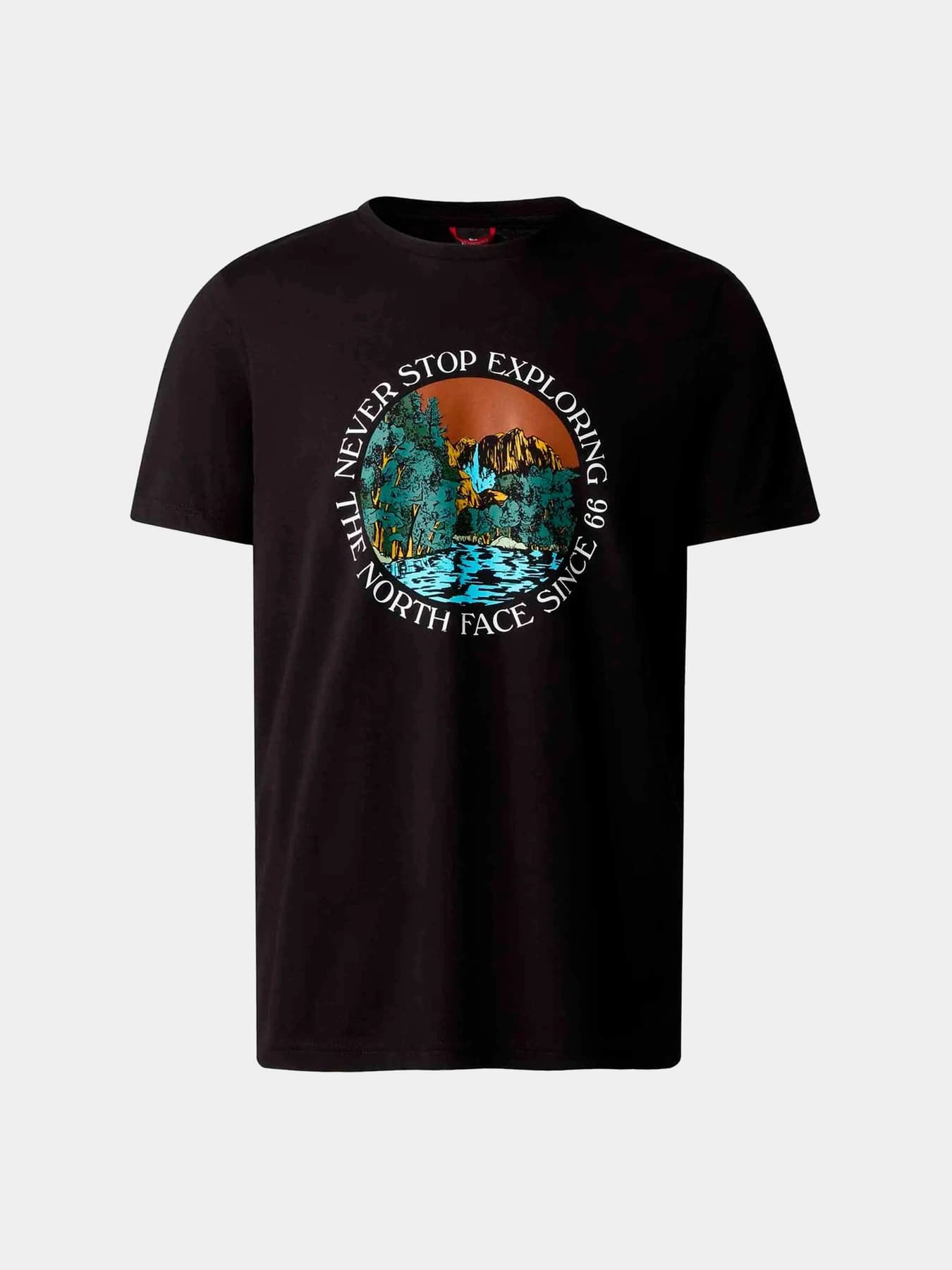Футболки и поло The North Face модель NF0A7X1OUW91