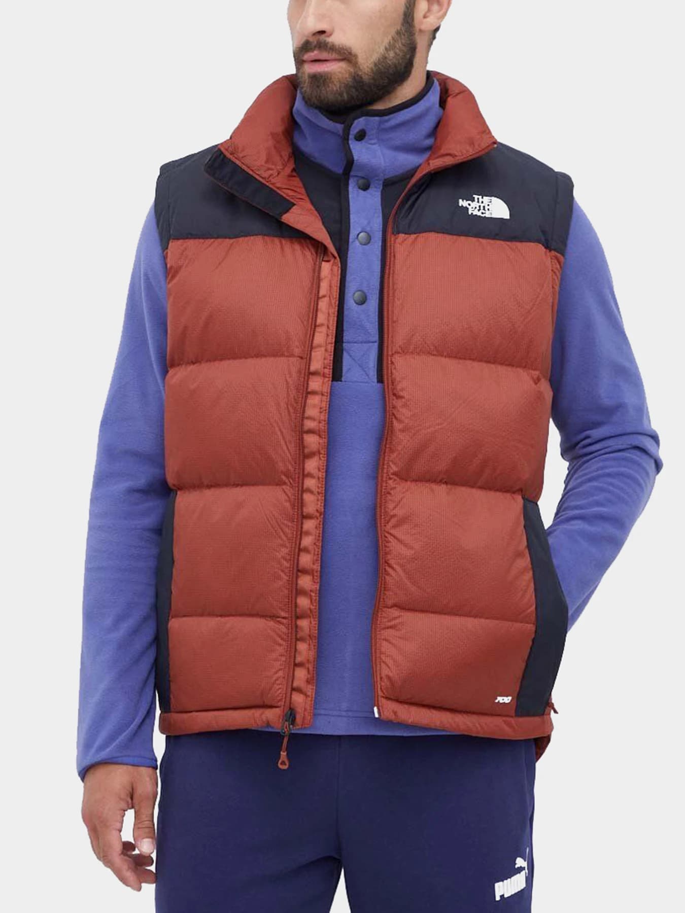Куртки и дубленки The North Face модель NF0A4M9KWEW1