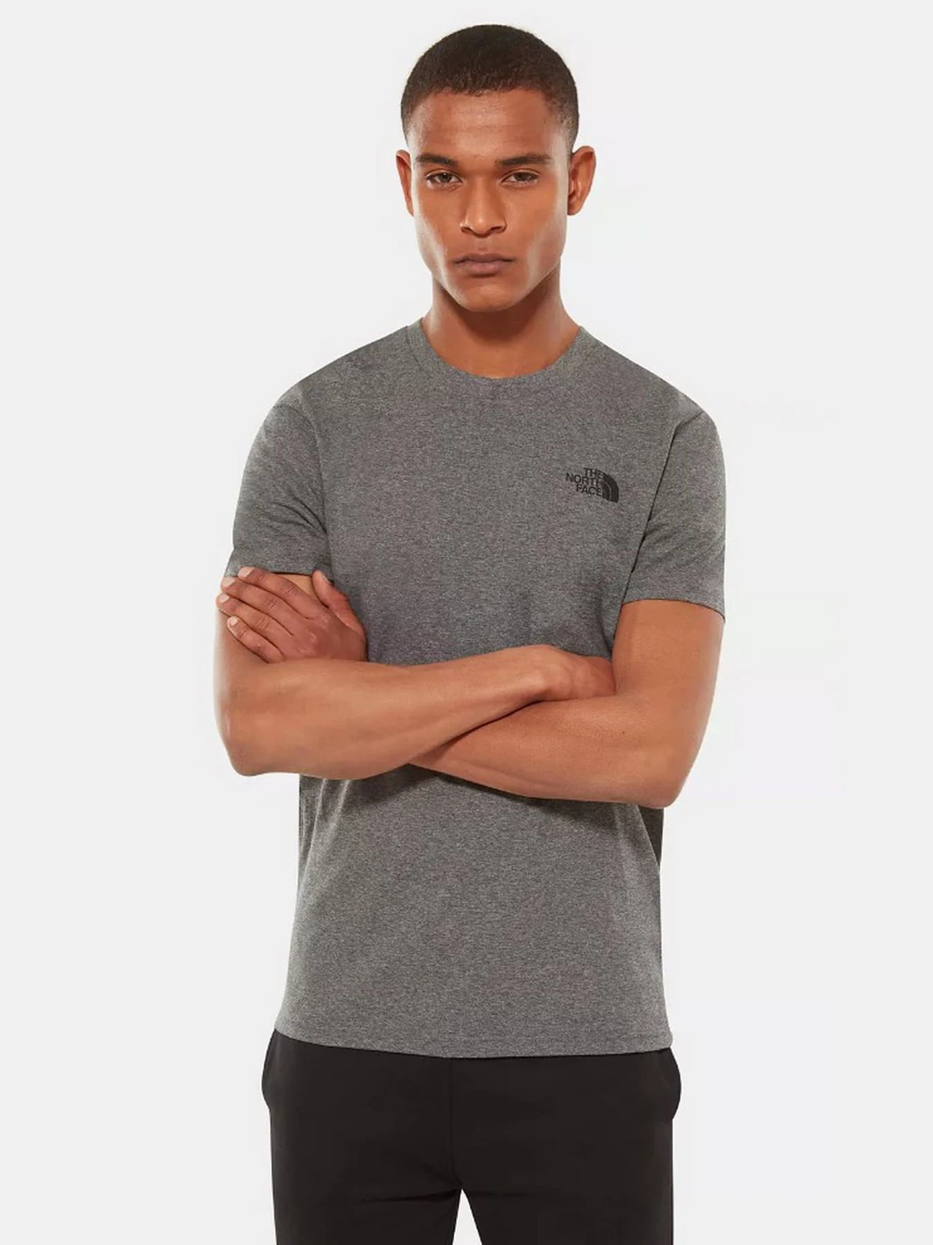 Футболки и поло The North Face модель NF0A2TX5JBV1