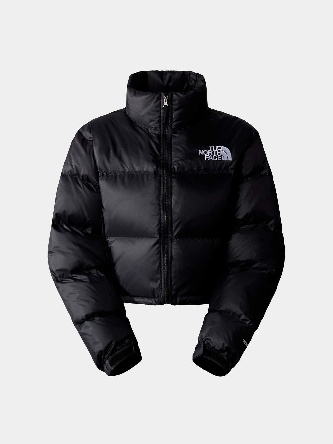 Куртки и дубленки The North Face модель NF0A5GGEKX71