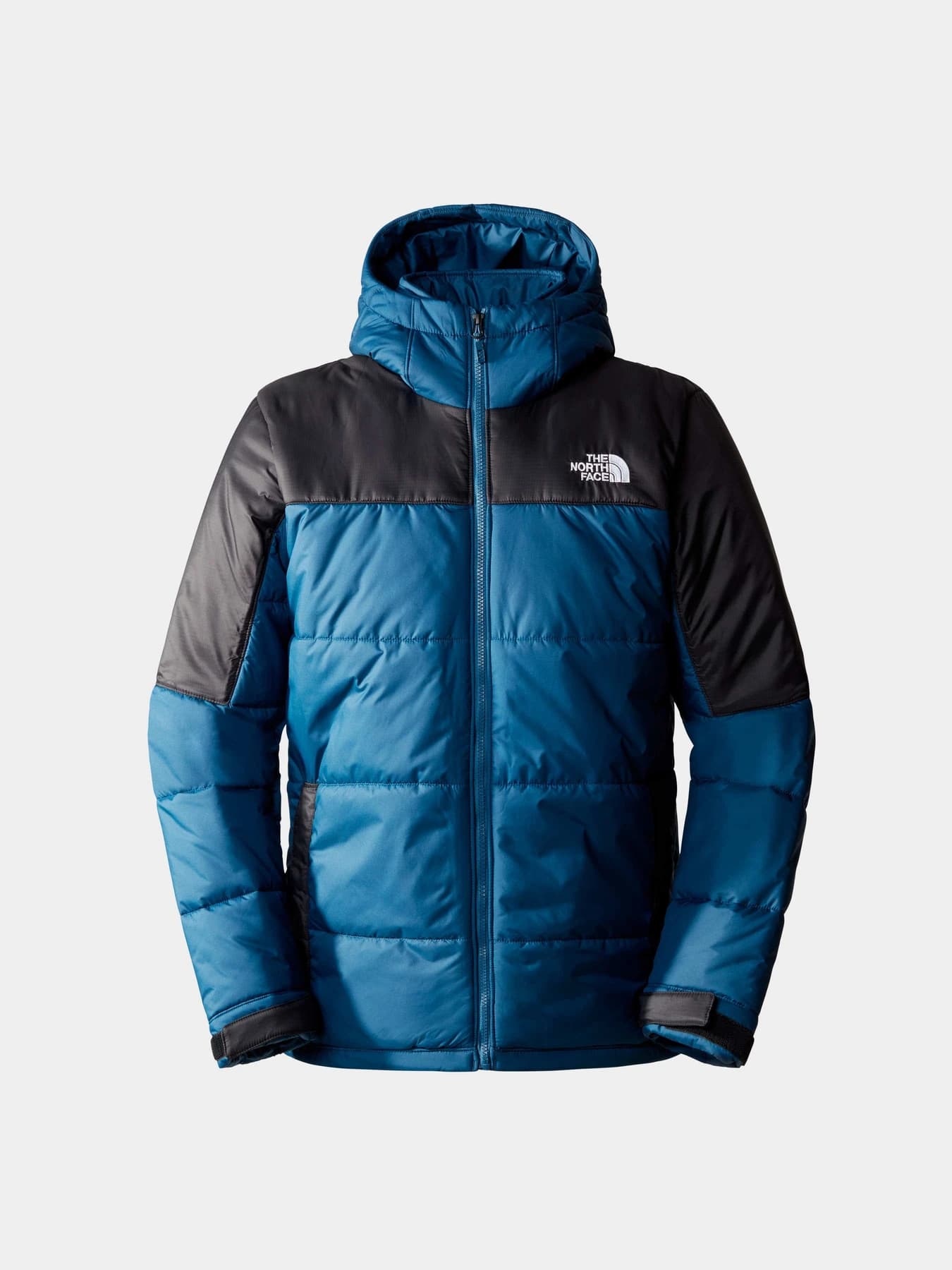 Куртки и дубленки The North Face модель NF0A7ZIUTJV1