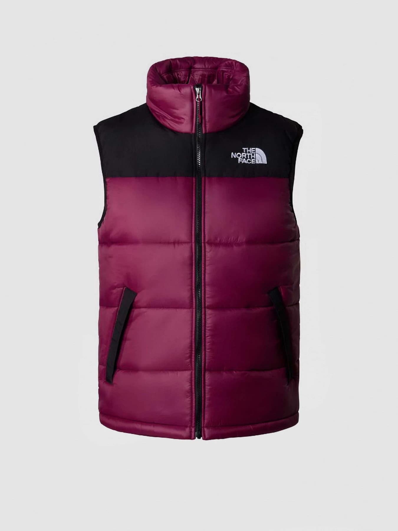 Куртки и дубленки The North Face модель NF0A4QZ4KK91
