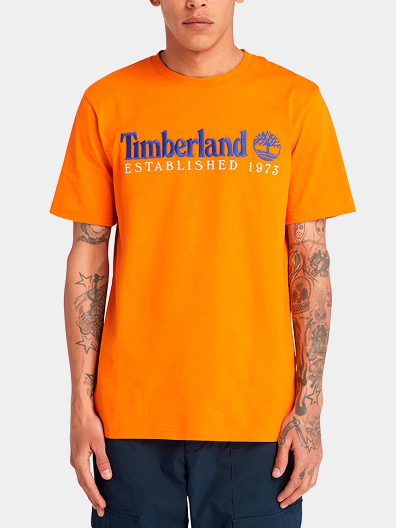 Футболки и поло Timberland модель TB0A6SE1ED1