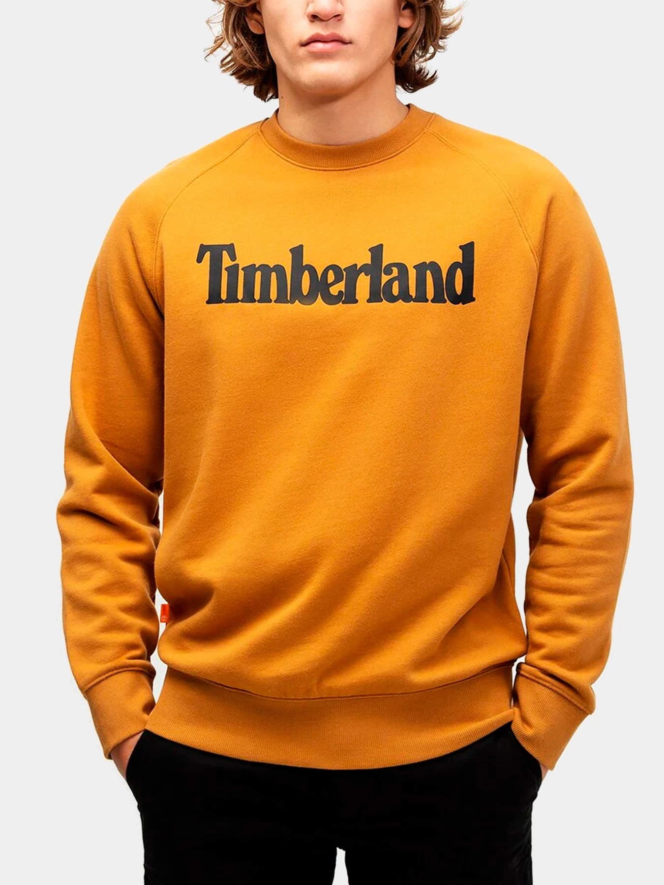 Худи и свитшоты Timberland модель TB0A2C6HP47