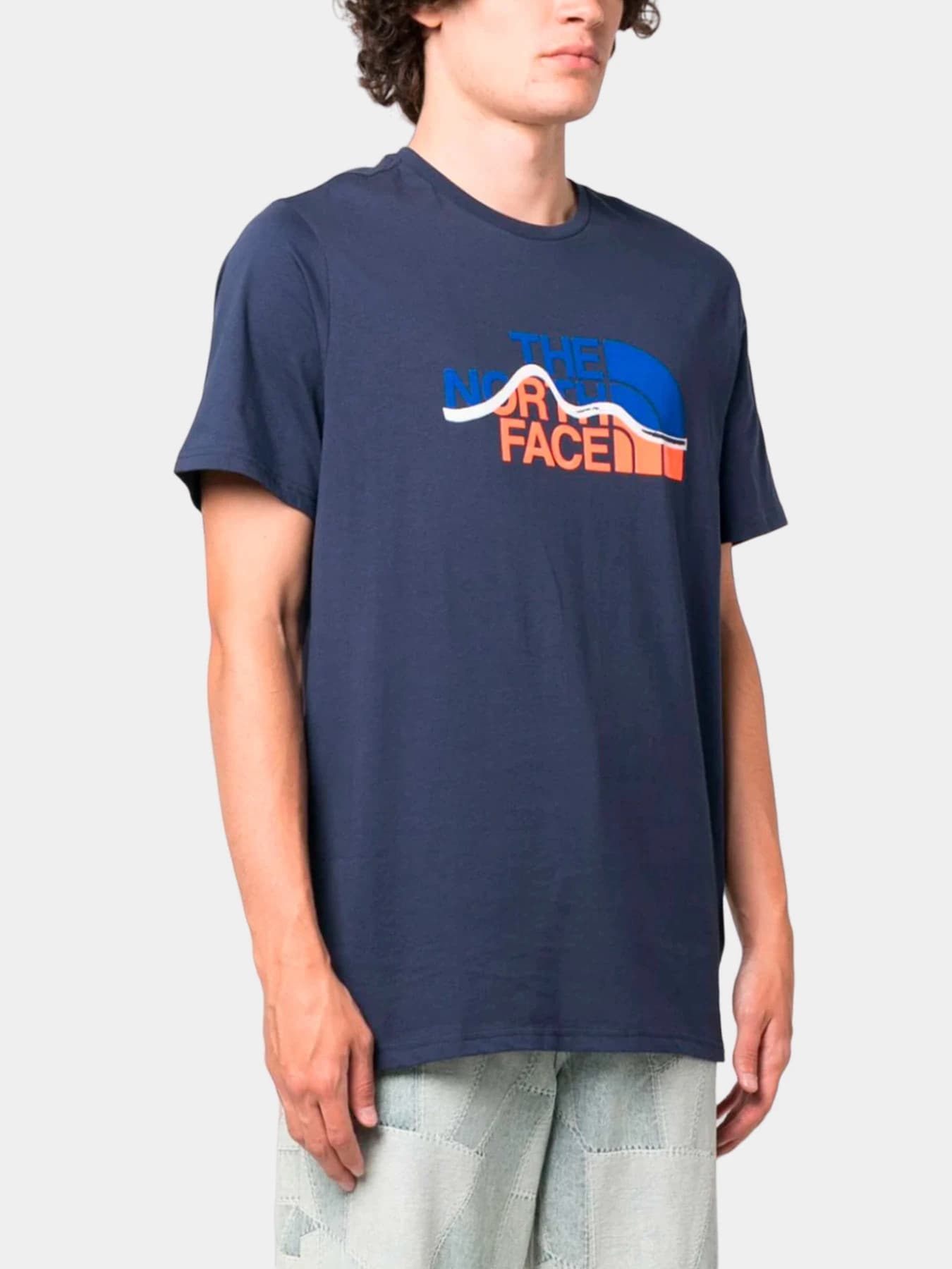 Футболки и поло The North Face модель NF0A7X1NO5F1