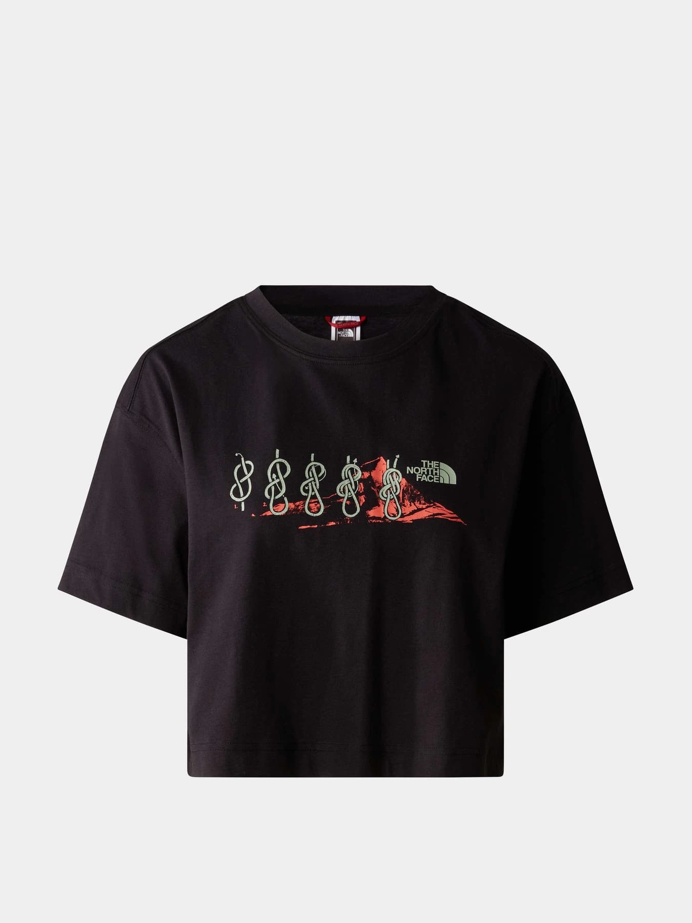 Футболки и поло The North Face модель NF0A8526JK31