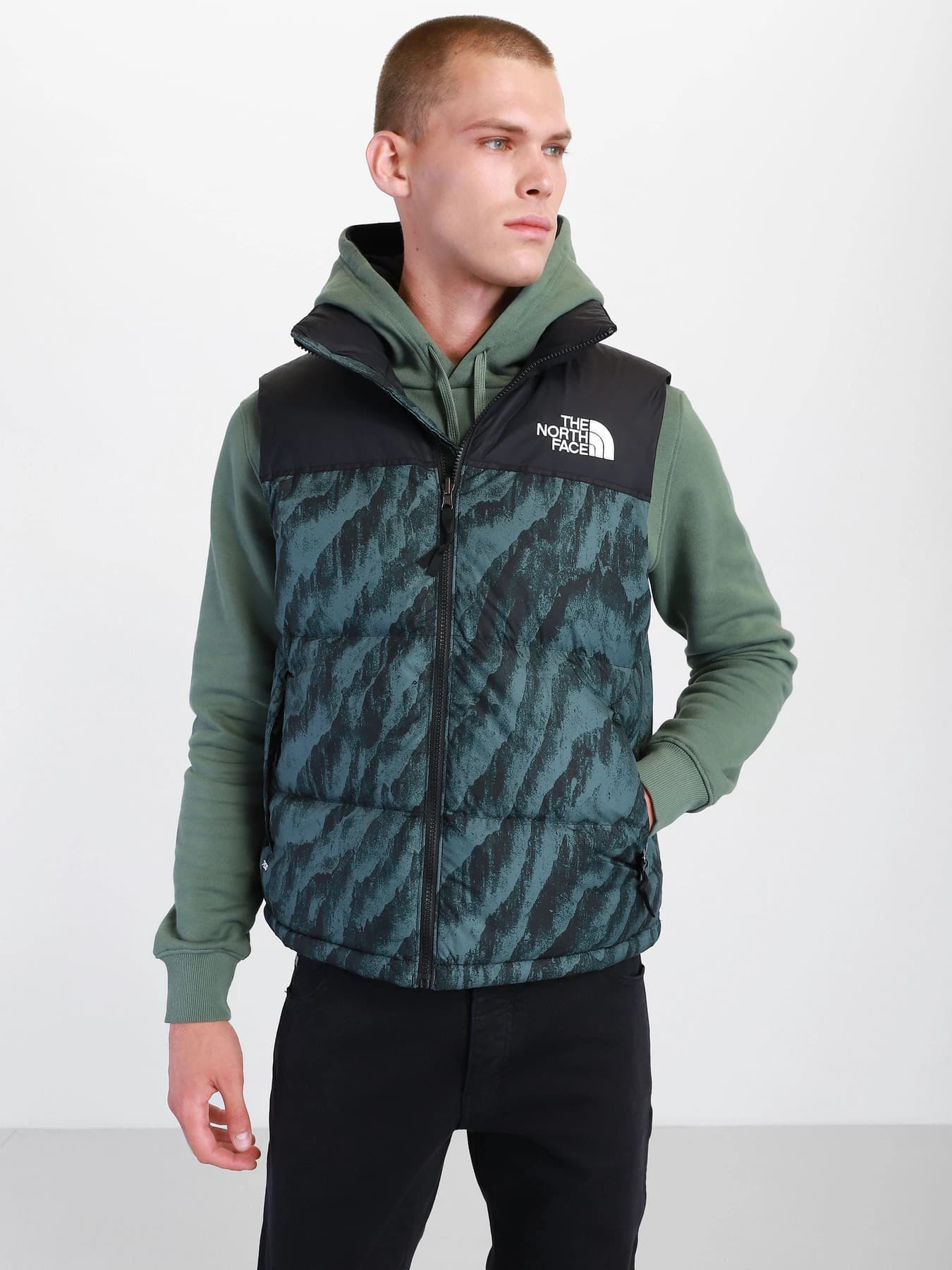 Куртки и дубленки The North Face модель NF0A5IX529L1