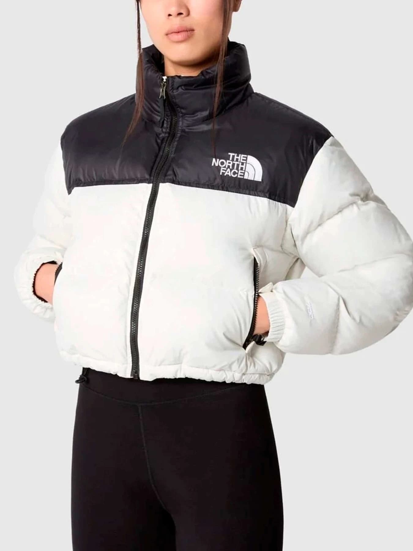 Куртки и дубленки The North Face модель NF0A5GGEQ4C1