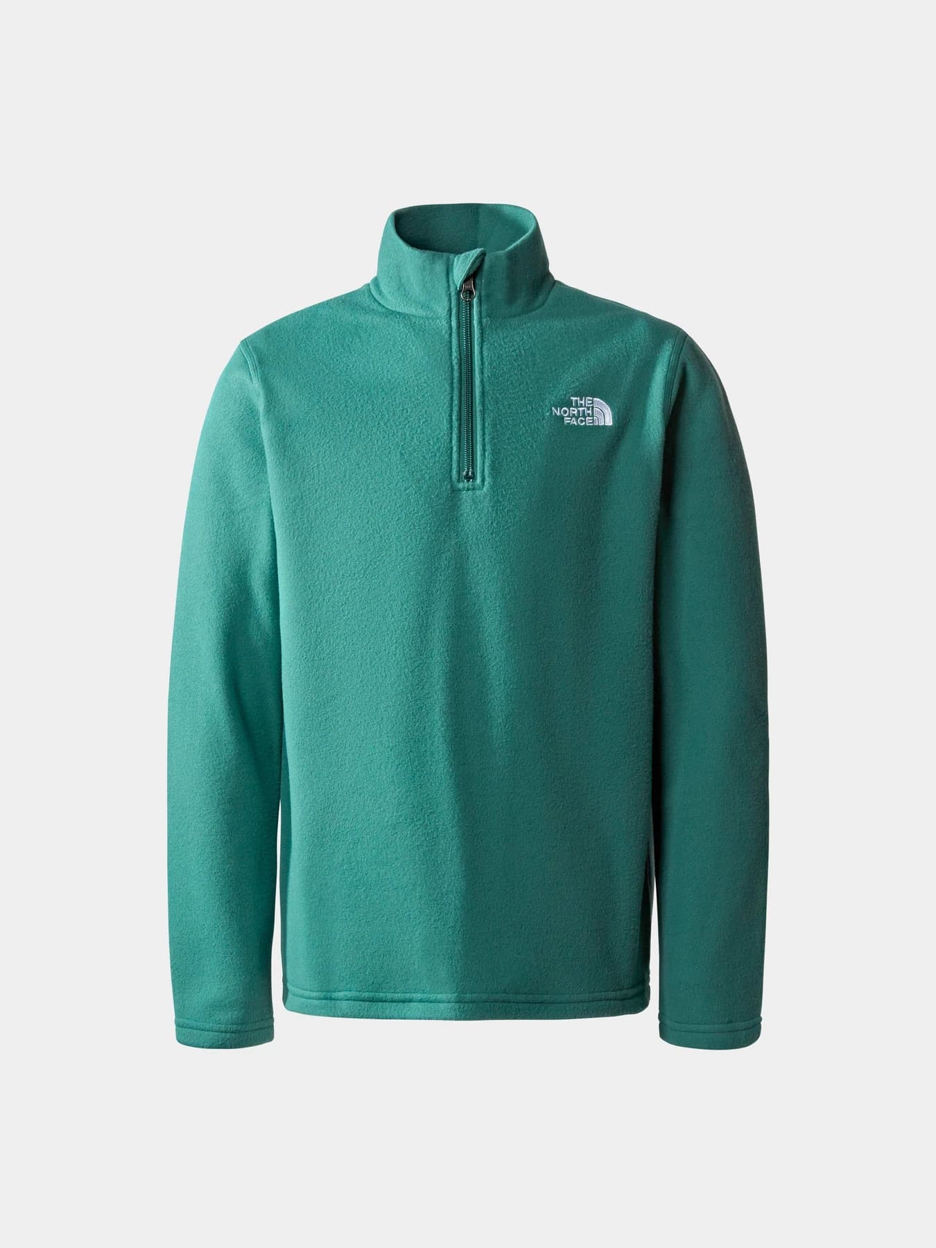 Худи и свитшоты The North Face модель NF0A82D1I0F1
