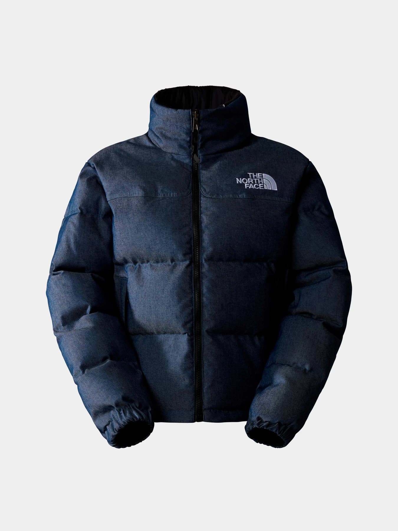 Куртки и дубленки The North Face модель NF0A831JLO31