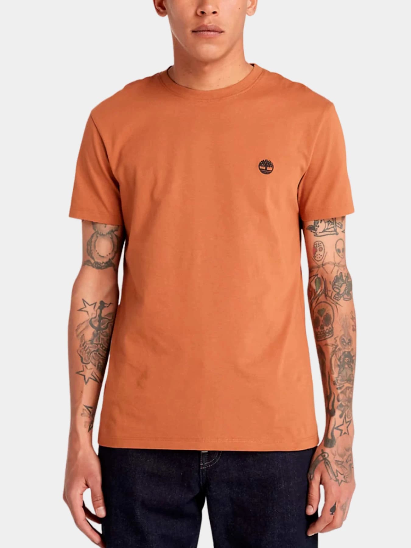 Футболки и поло Timberland модель TB0A2BPRK43