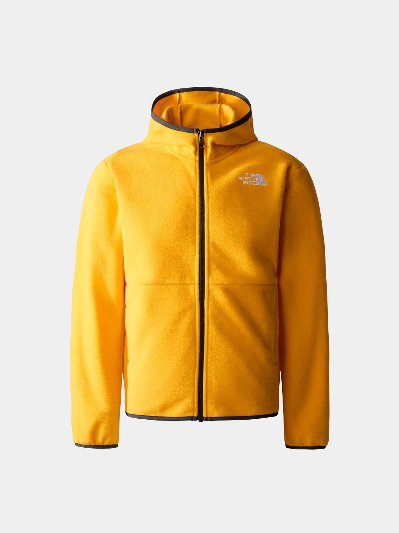 Куртки и дубленки The North Face модель NF0A82TV56P1