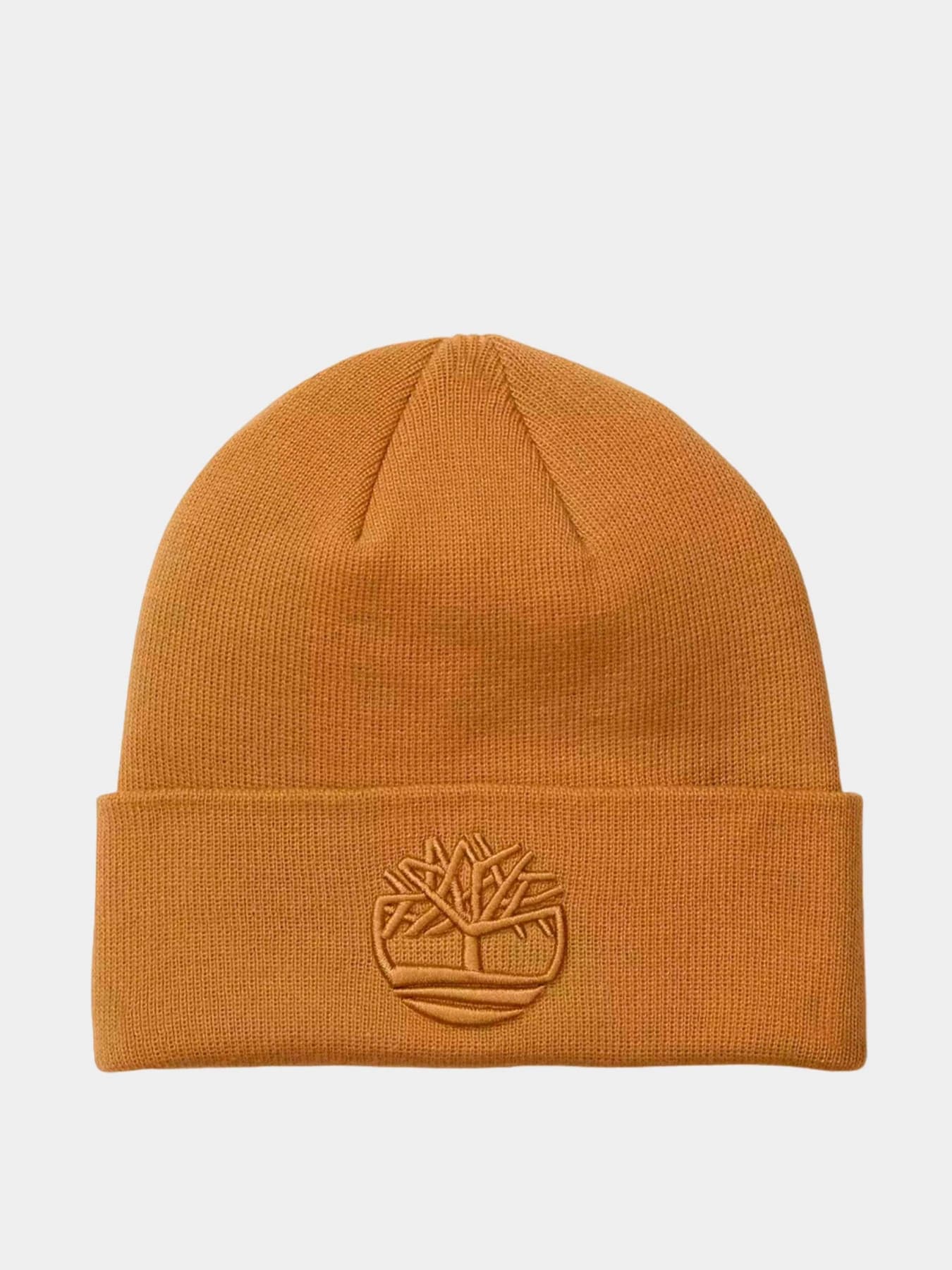 Шапки и кепки Timberland модель TB0A2PJR231