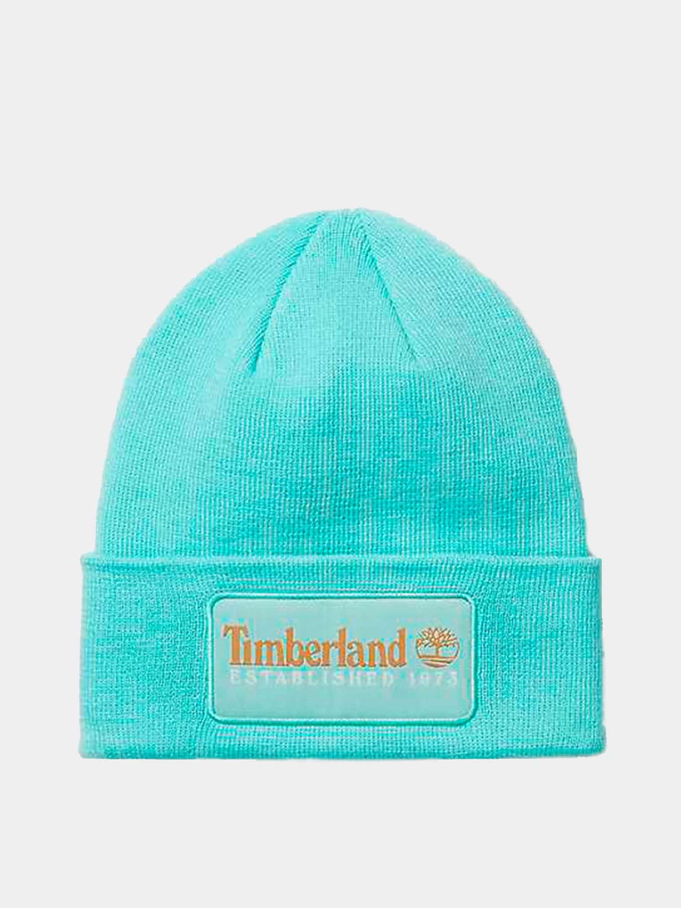 Шапки и кепки Timberland модель TB0A2PTDEB9