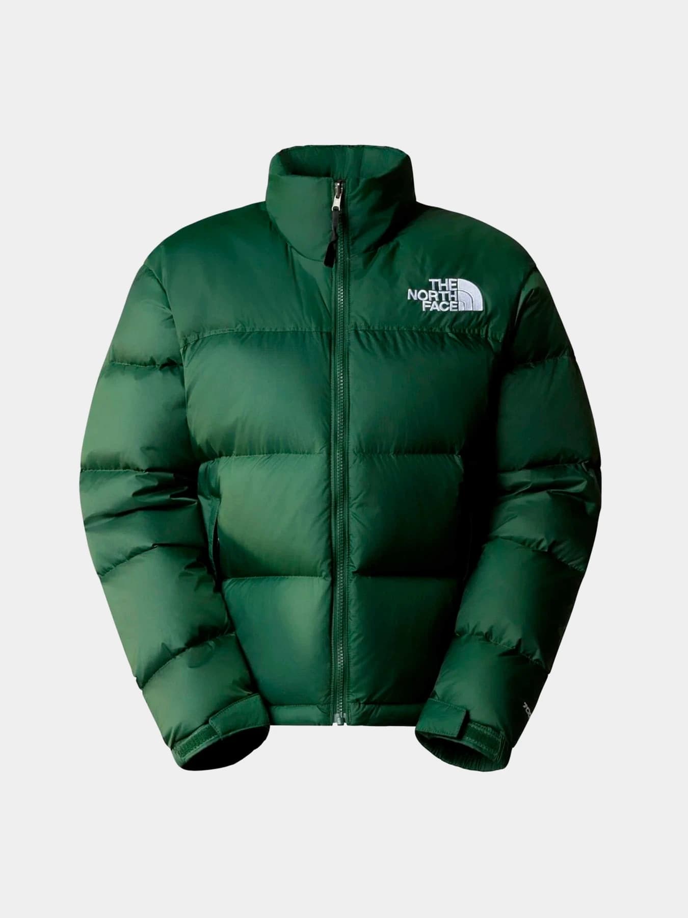 Куртки и дубленки The North Face модель NF0A3XEOI0P1