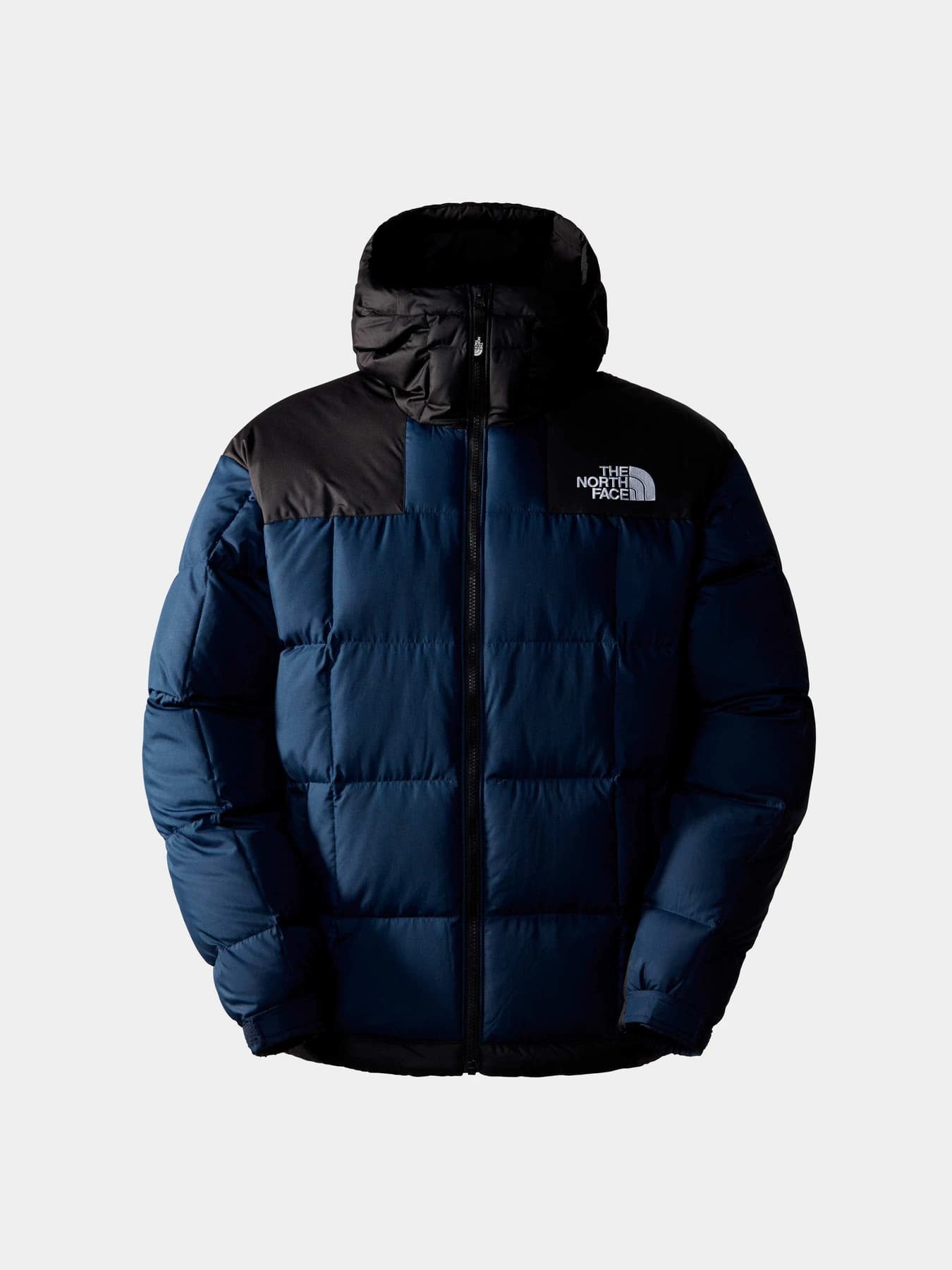 Куртки и дубленки The North Face модель NF0A853C92A1