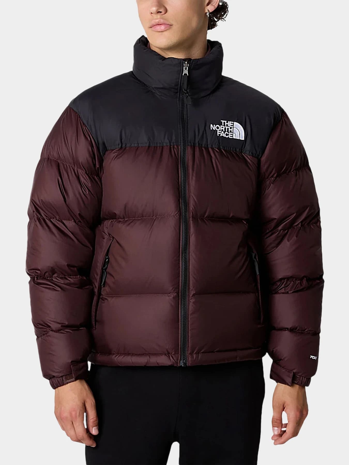 Куртки и дубленки The North Face модель NF0A3C8DLOS1