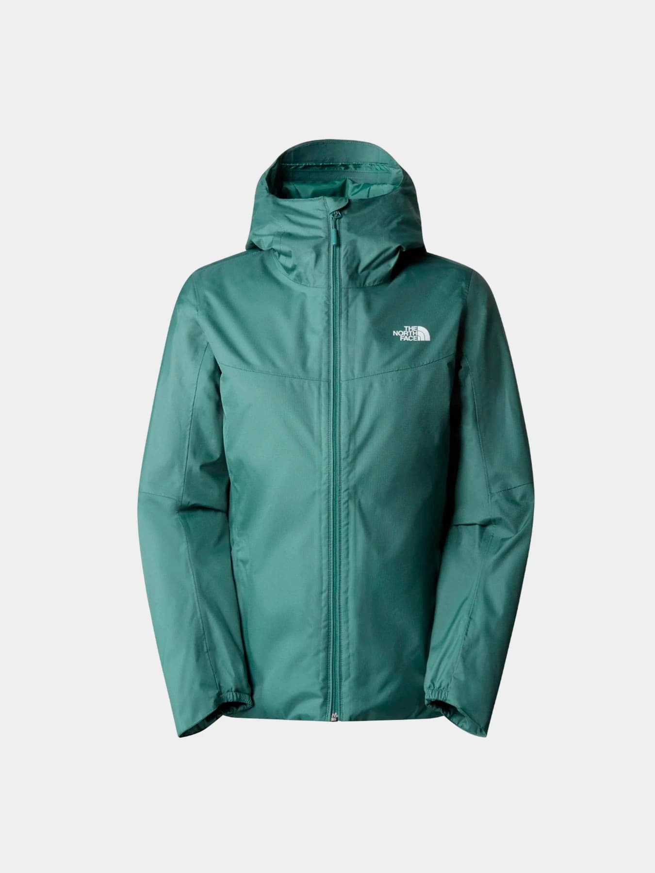 Куртки и дубленки The North Face модель NF0A3Y1JI0F1