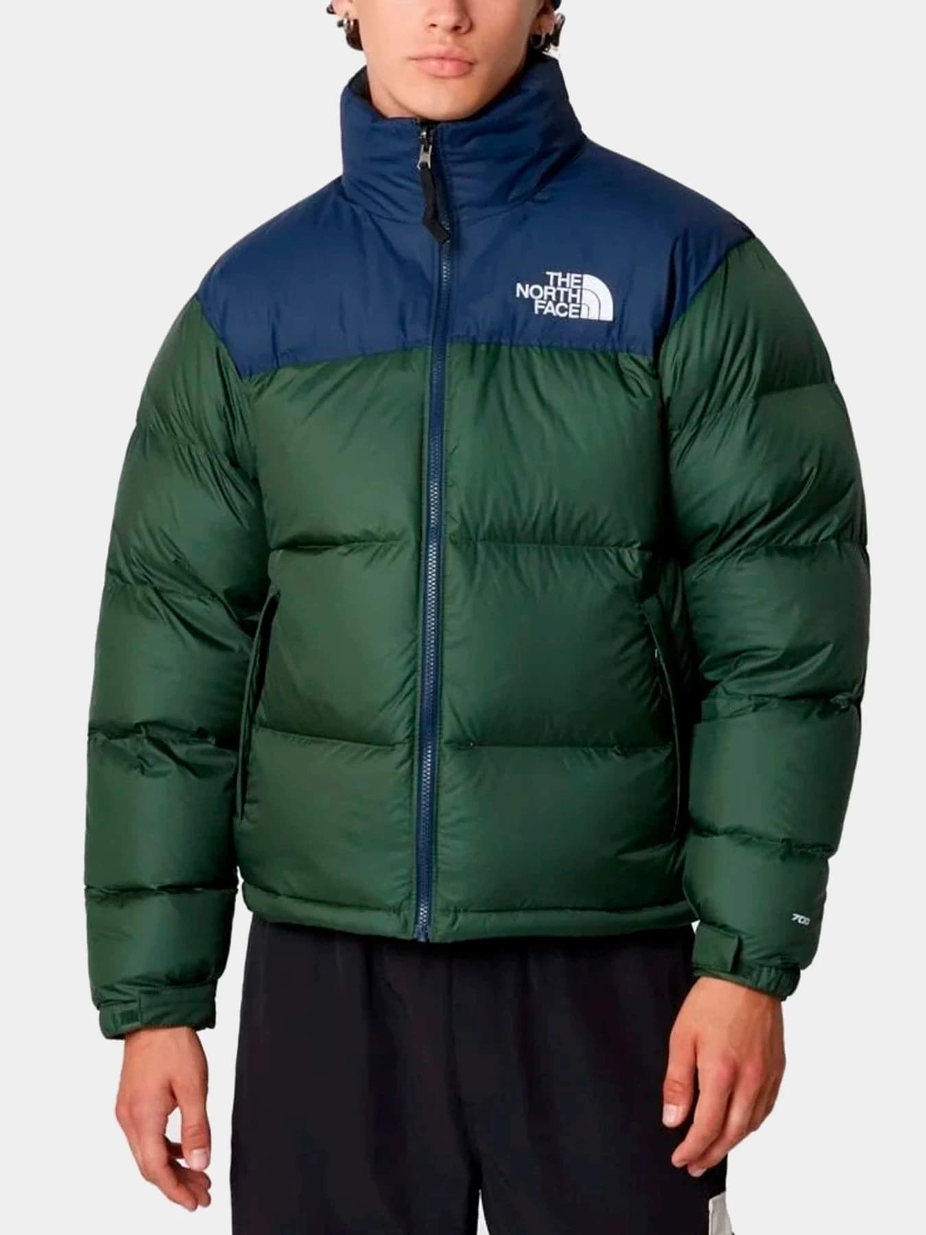 Куртки и дубленки The North Face модель NF0A3C8DOAS1