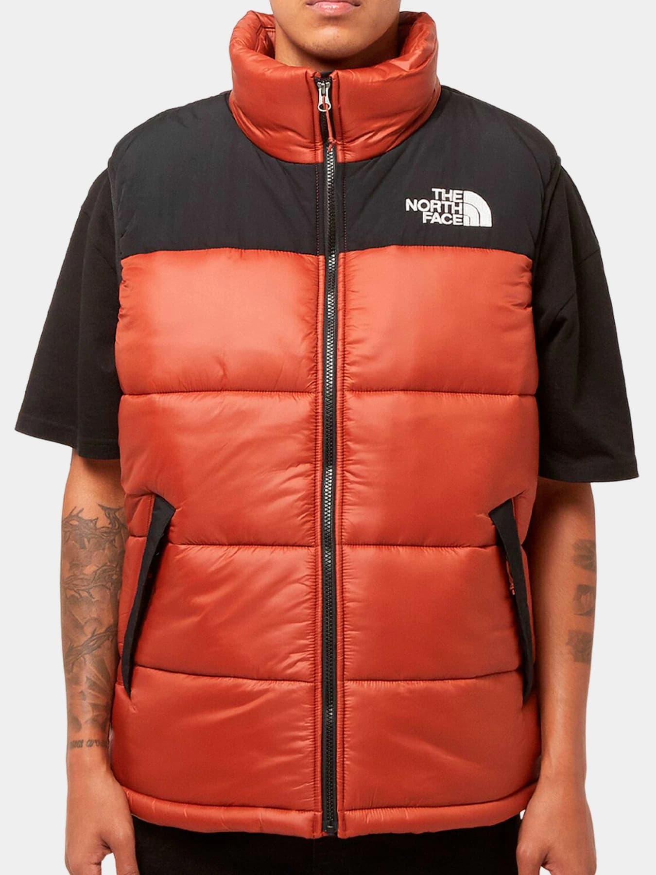 Куртки и дубленки The North Face модель NF0A4QZ4WEW1