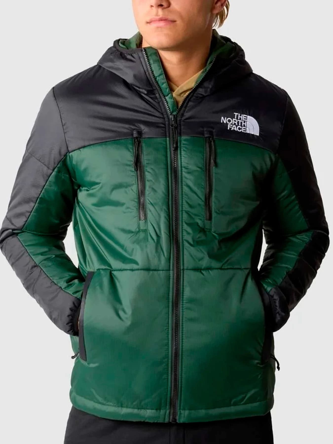 Куртки и дубленки The North Face модель NF0A7WZXKII1