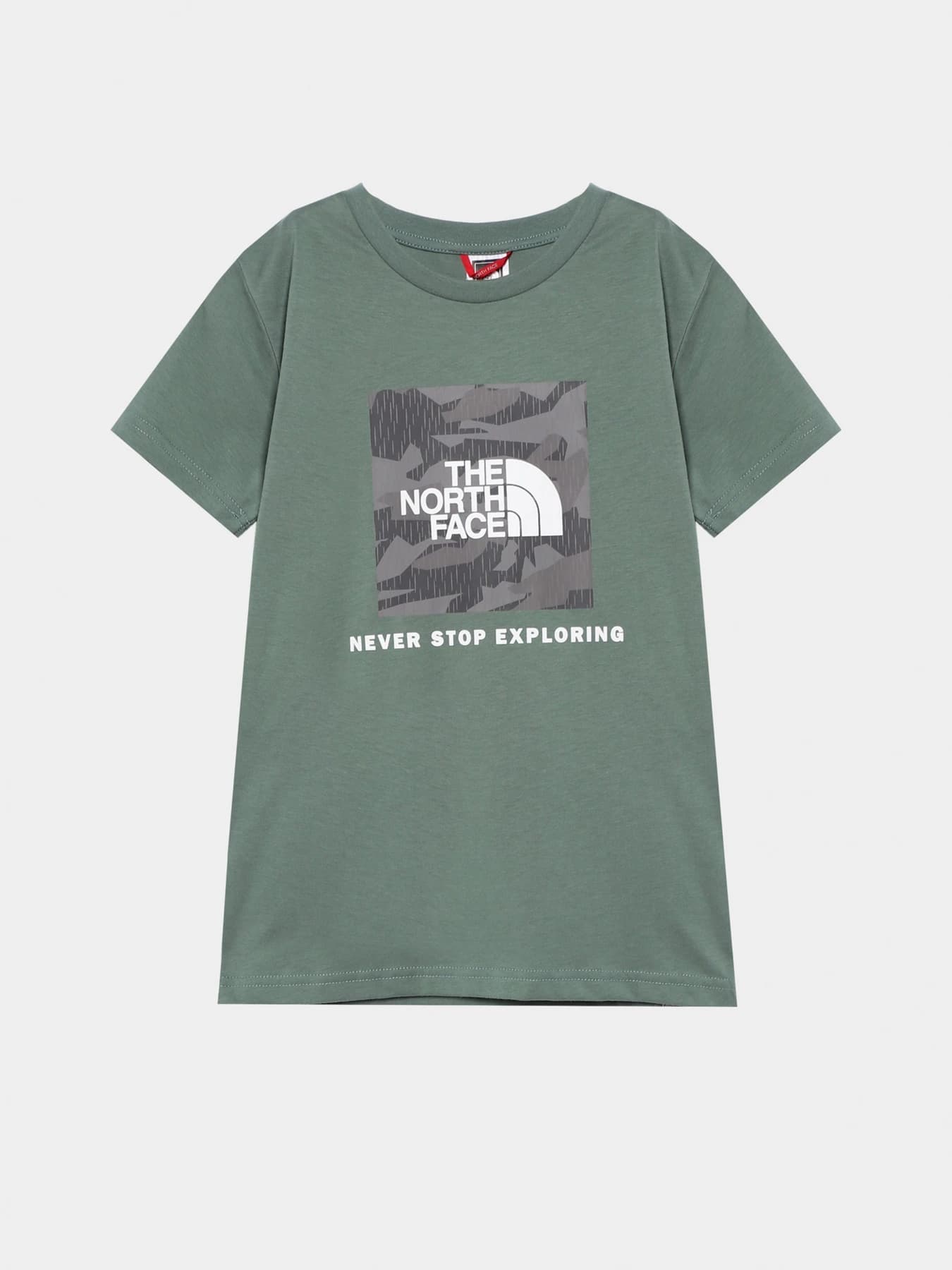 Футболки и поло The North Face модель NF0A82E9O241