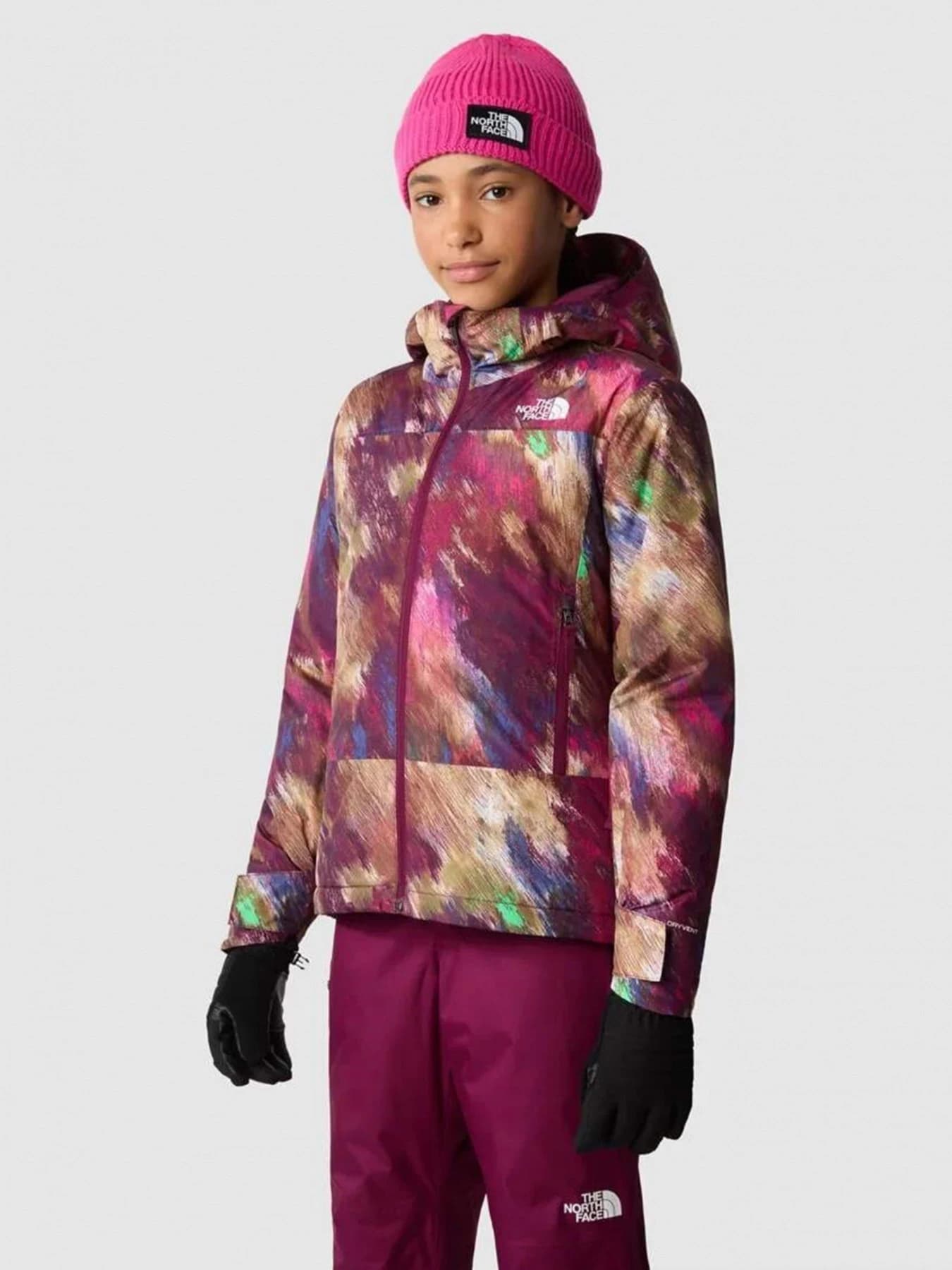 Куртки и дубленки The North Face модель NF0A82Y6OME1
