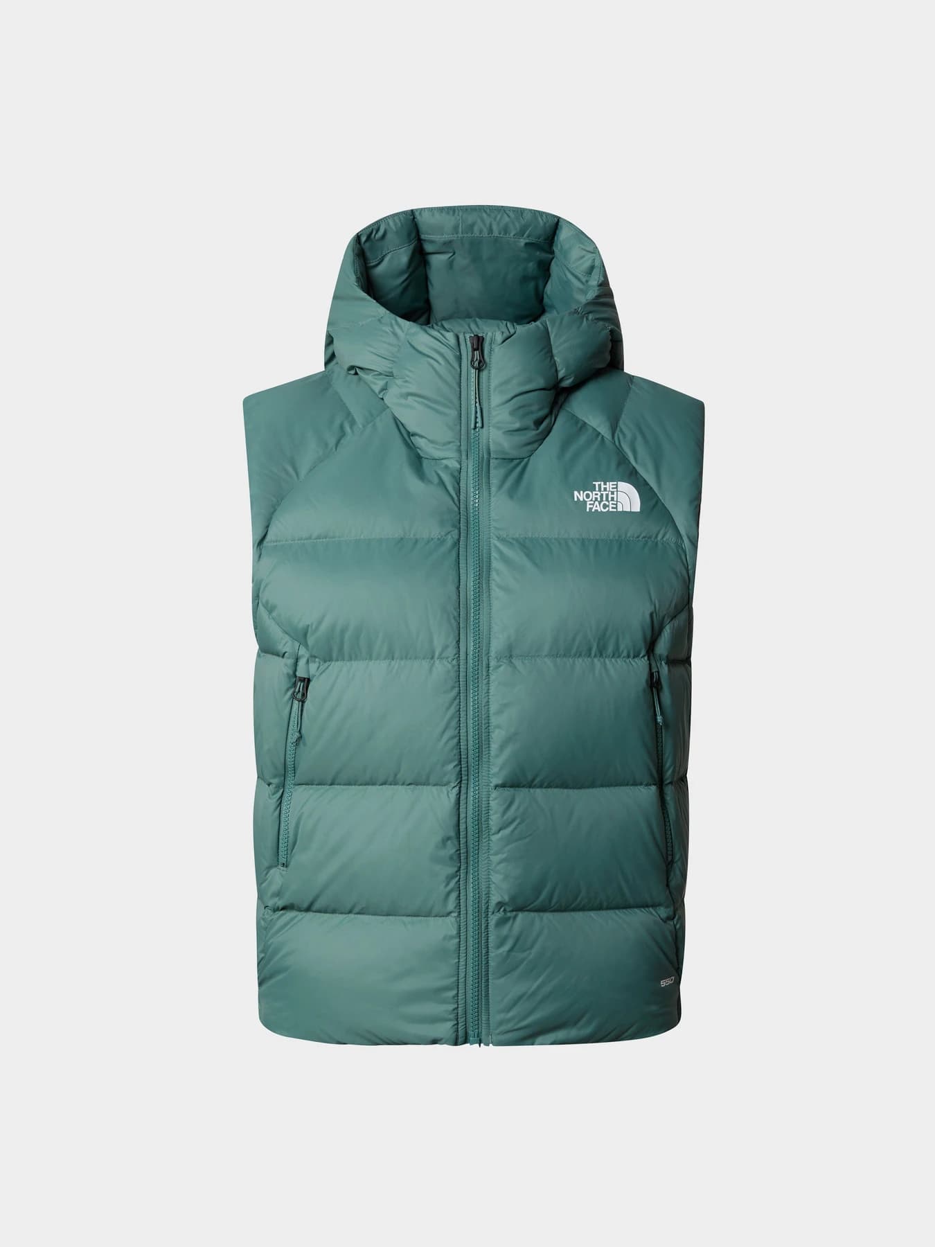 Куртки и дубленки The North Face модель NF0A7SXEI0F1