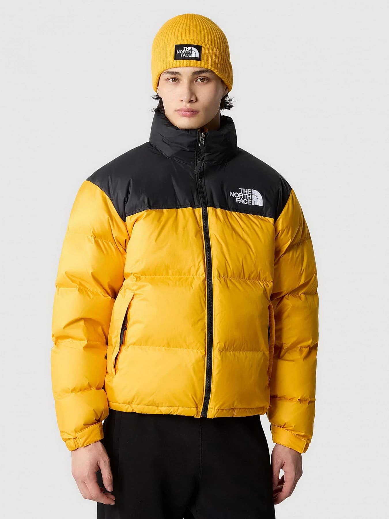 Куртки и дубленки The North Face модель NF0A3C8DZU31