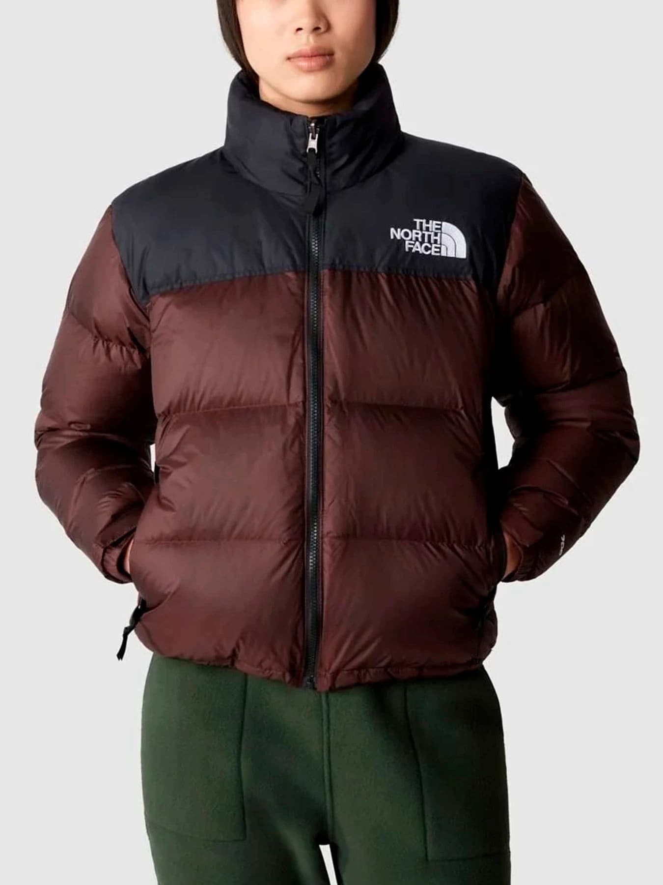Куртки и дубленки The North Face модель NF0A3XEOLOS1